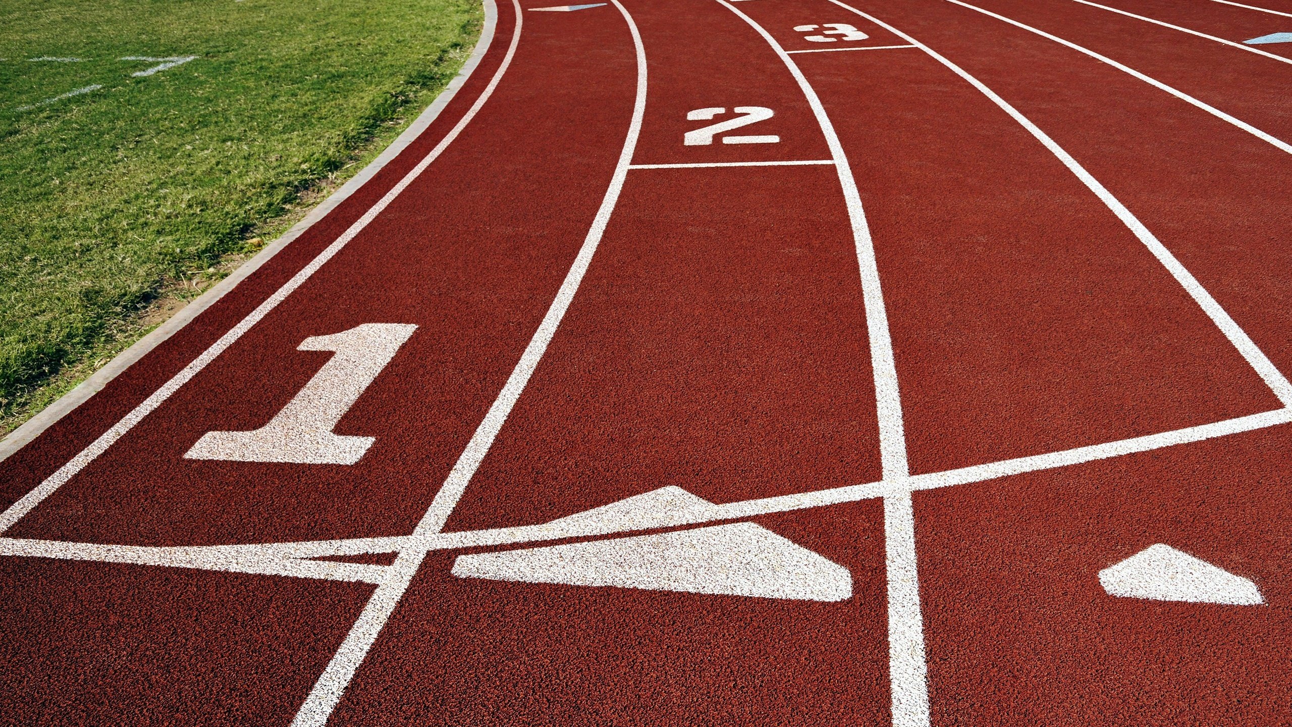 Обои трава, линии, дорожка, цифры, белое, красное, беговая, grass, line, track, figures, white, red, cross country разрешение 2560x1600 Загрузить