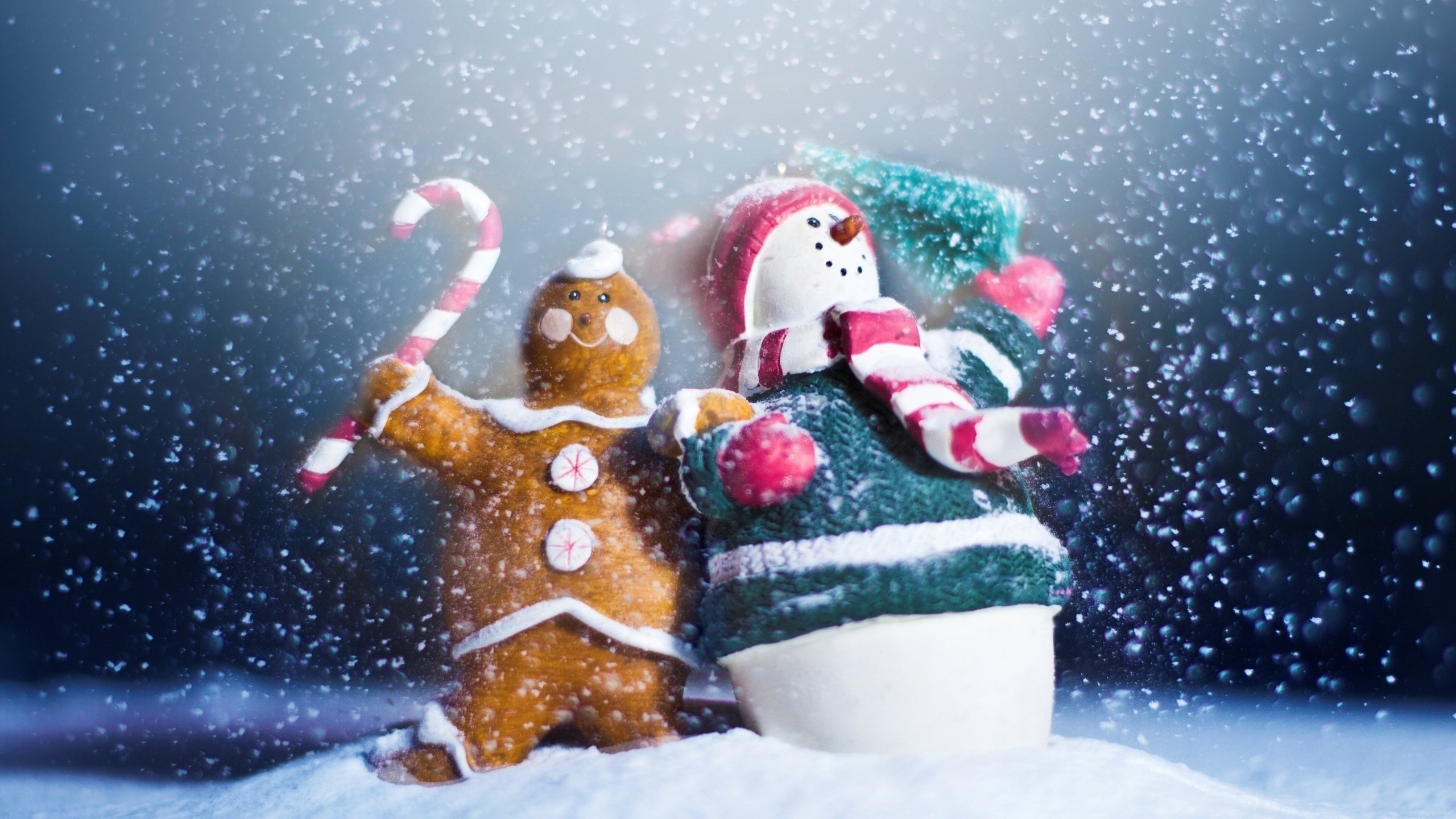 Обои 2013, снег, сувениры, новый год, пряник, макро, снеговик, игрушки, праздник, печенька, с новым годом, snow, souvenirs, new year, gingerbread, macro, snowman, toys, holiday, cookie, happy new year разрешение 2560x1600 Загрузить