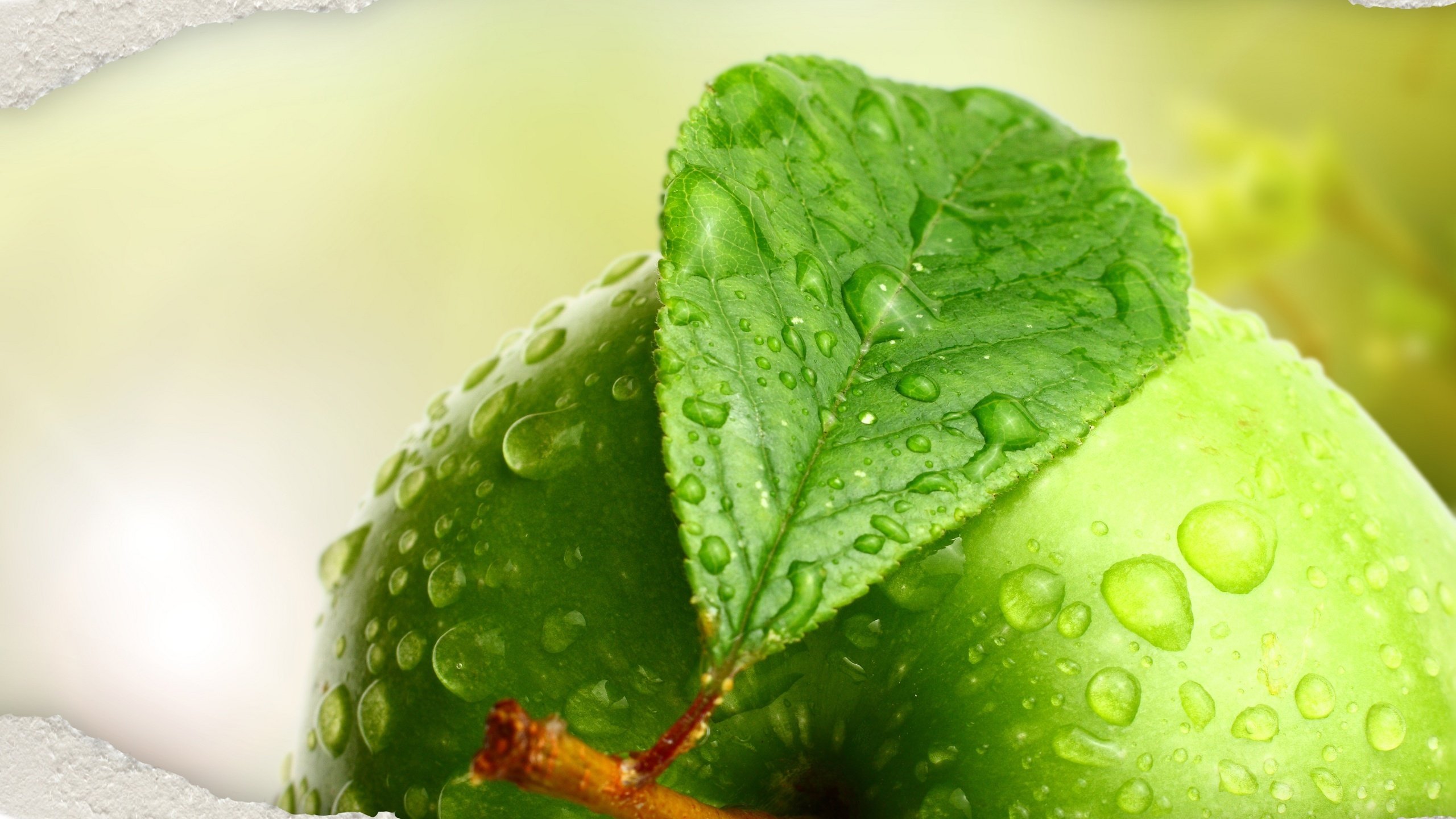 Обои вода, макро, капли, фрукты, яблоко, листик, зеленое, water, macro, drops, fruit, apple, leaf, green разрешение 2560x1600 Загрузить