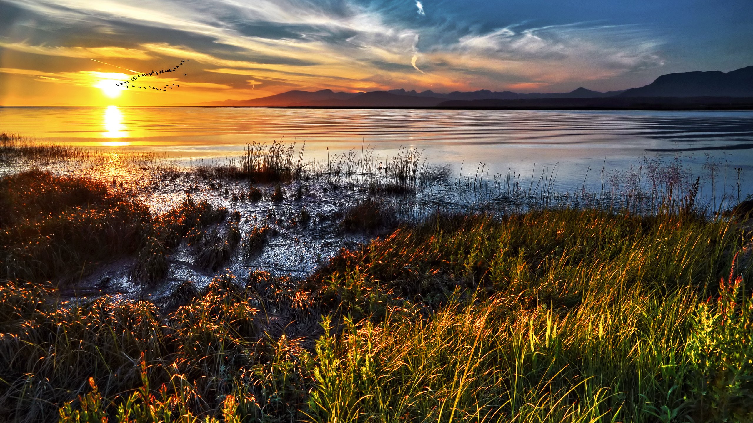 Обои трава, облака, озеро, солнце, закат, горизонт, птицы, стая, grass, clouds, lake, the sun, sunset, horizon, birds, pack разрешение 2560x1600 Загрузить