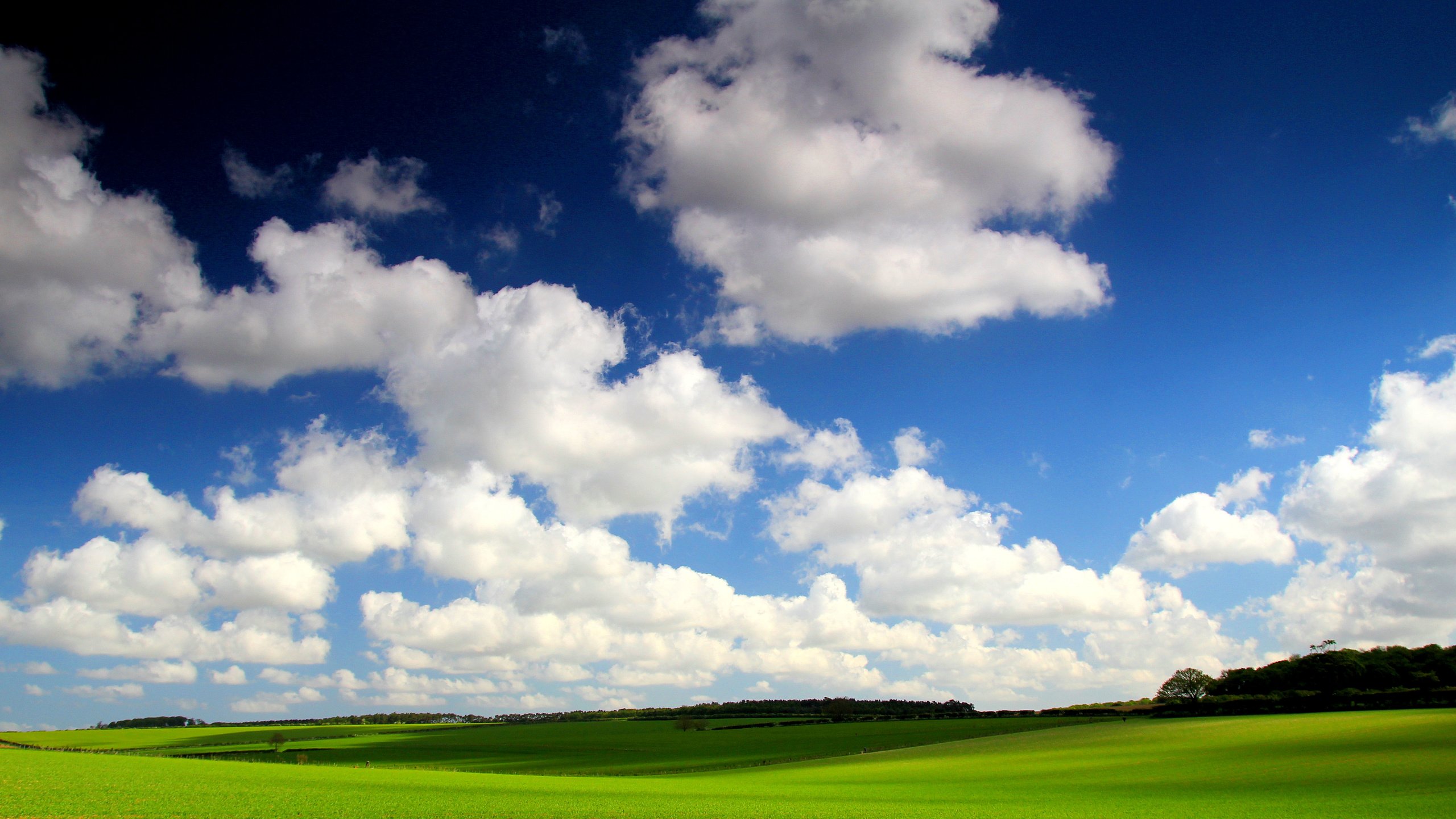 Обои небо, трава, облака, поле, горизонт, the sky, grass, clouds, field, horizon разрешение 5068x3379 Загрузить