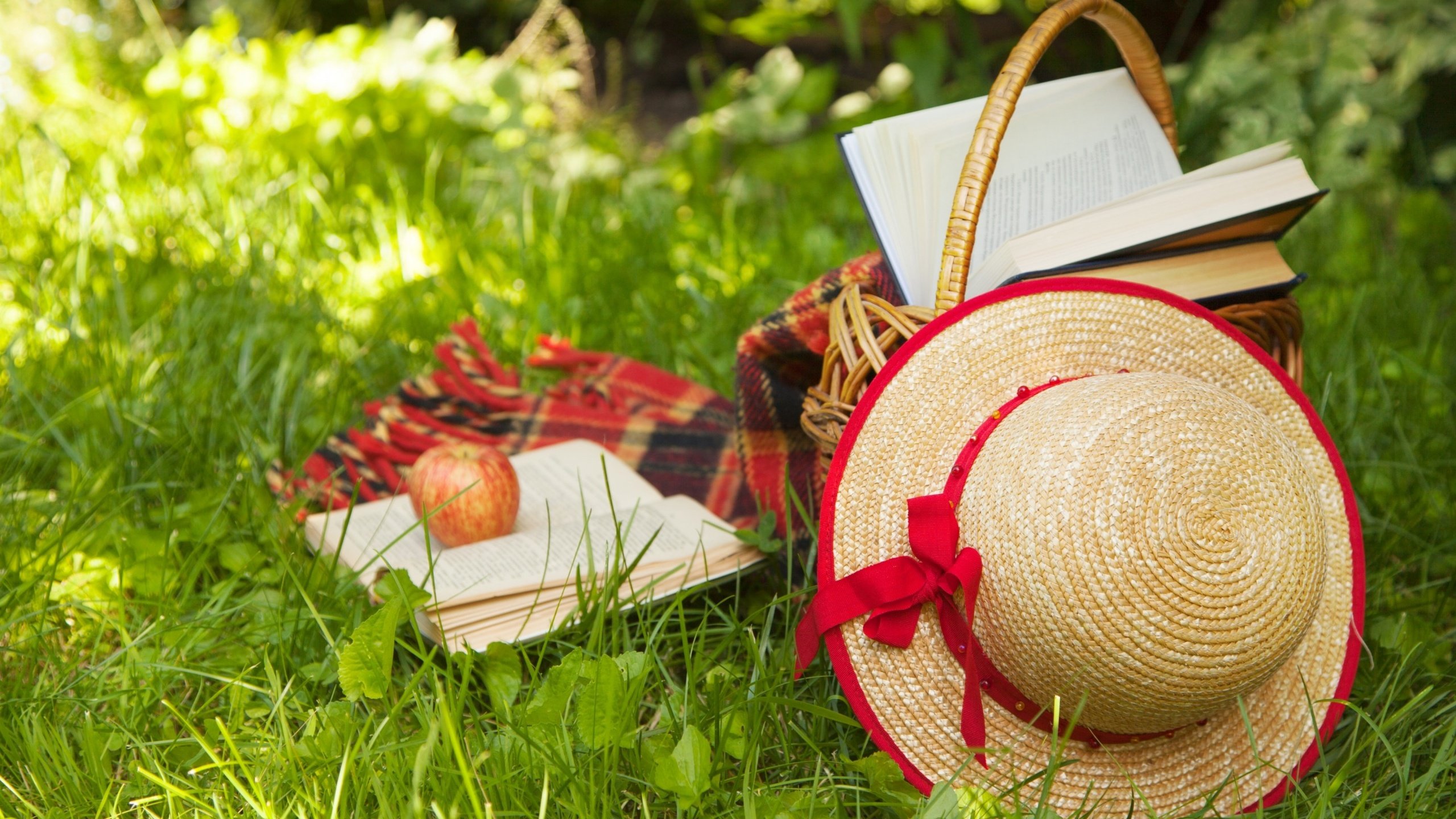 Обои трава, книги, корзина, яблоко, плед, шляпа, пикник, grass, books, basket, apple, plaid, hat, picnic разрешение 2880x1800 Загрузить