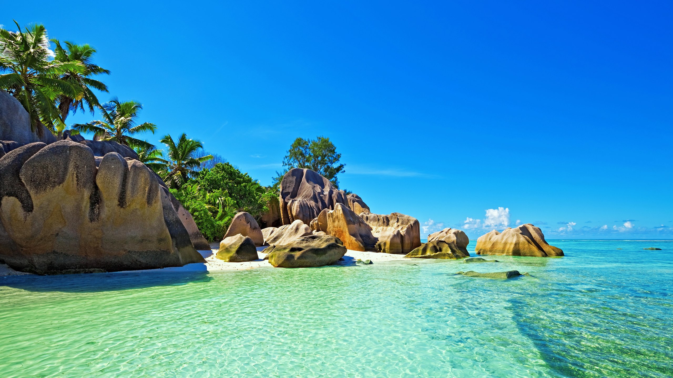 Обои море, пляж, отдых, тропики, сейшелы, sea, beach, stay, tropics, seychelles разрешение 5567x3598 Загрузить