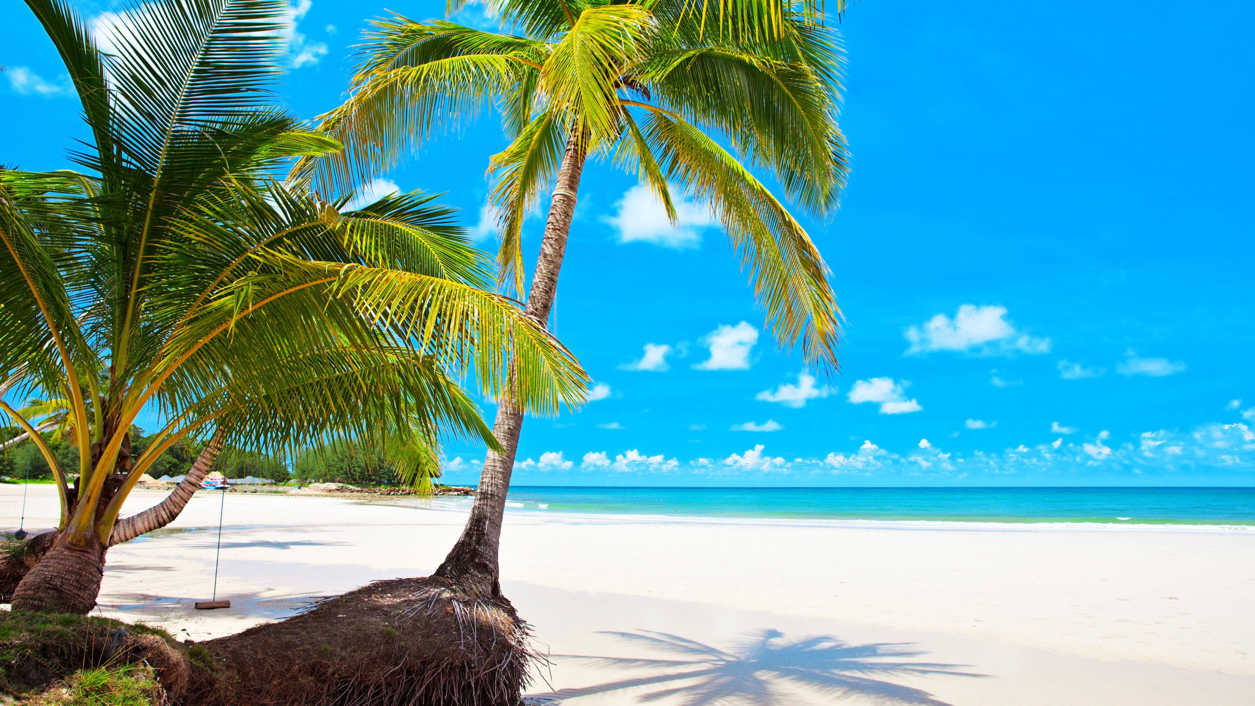 Обои море, пляж, отдых, тропики, мальдивы, sea, beach, stay, tropics, the maldives разрешение 6830x4402 Загрузить