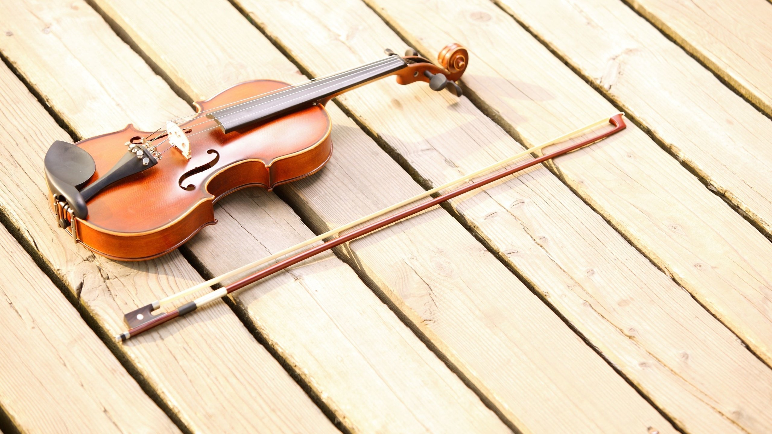 Обои скрипка, музыка, струны, музыкальный инструмент, смычок, violin, music, strings, musical instrument, bow разрешение 2560x1600 Загрузить