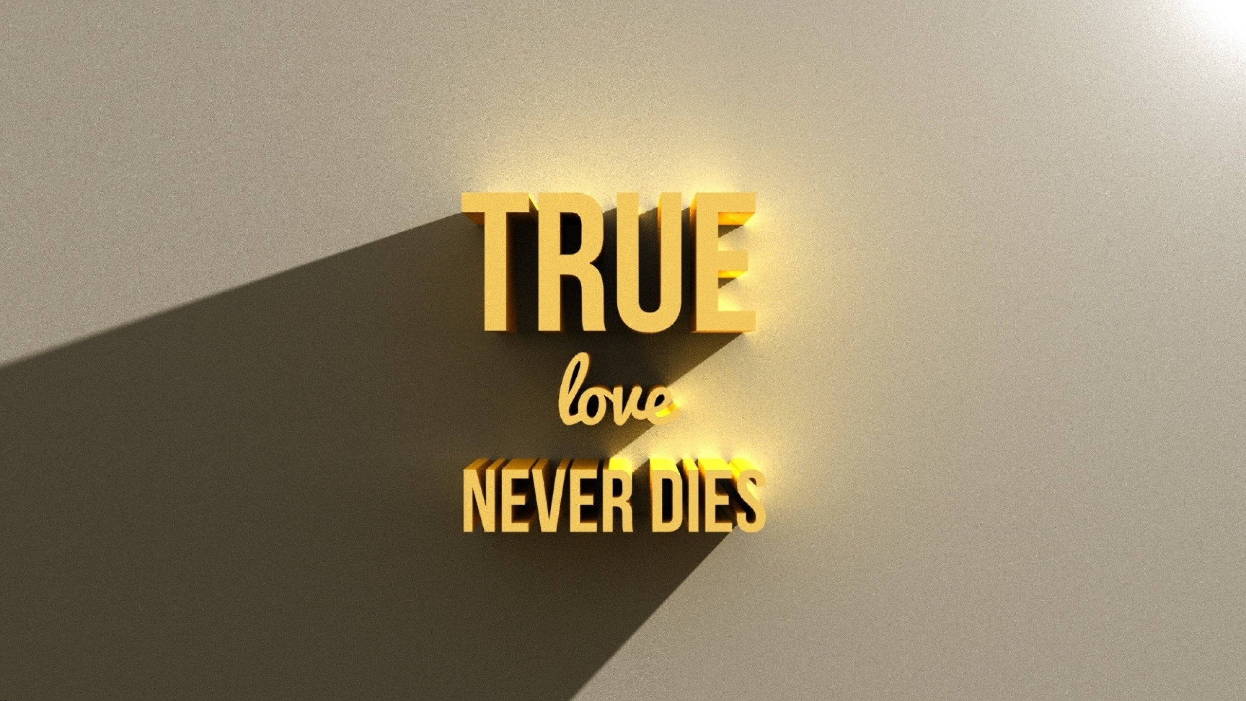 It s a never love. True Love never dies. Обои never. Neverlove обои. Never Love обои.