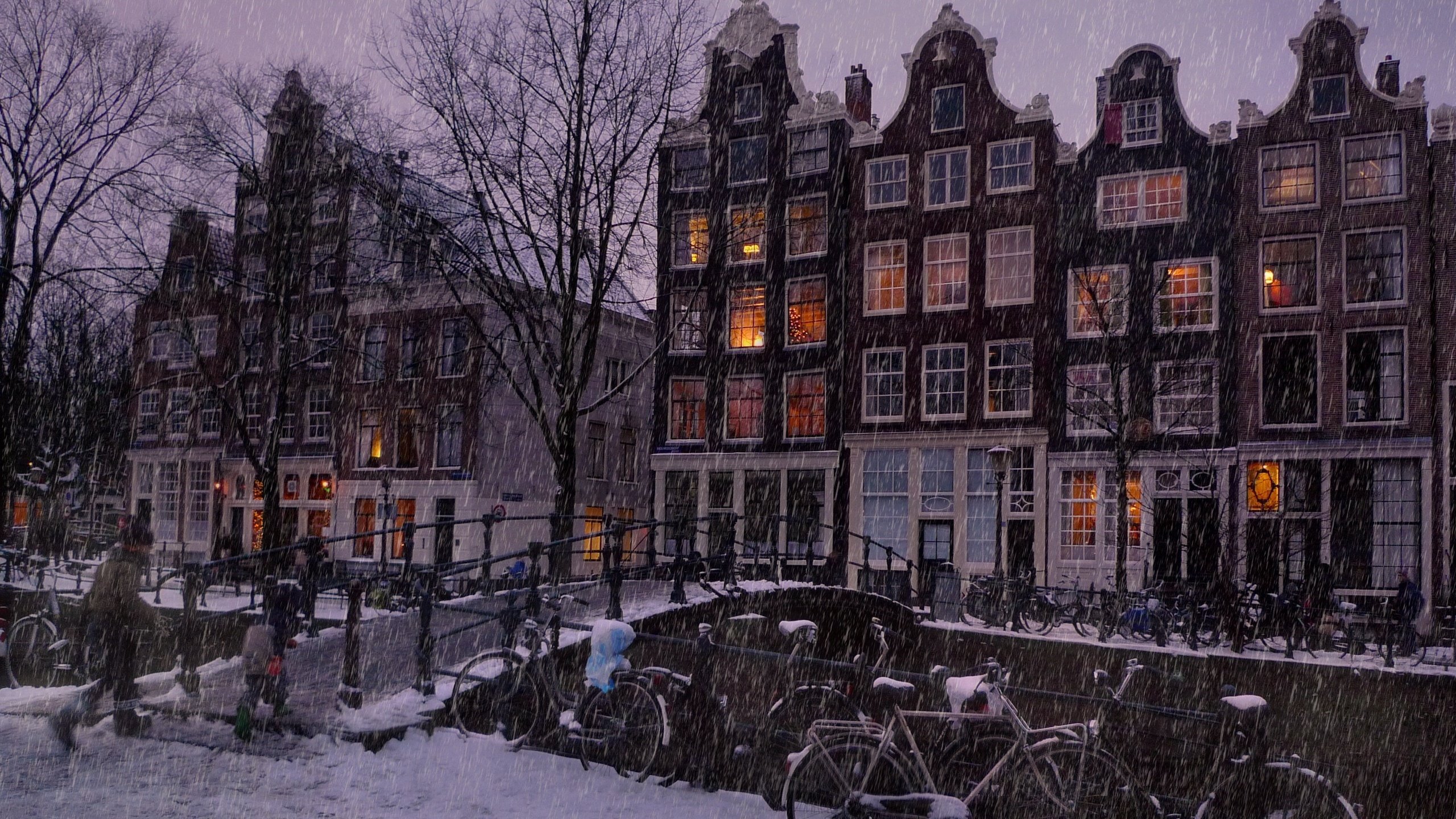 Обои деревья, люди, let it snow in the amsterdam, огни, мост, вечер, дома, река, улица, снег, дождь, зима, здания, пейзаж, окна, вид, зимний, амстердам, amsterdam, trees, people, lights, bridge, the evening, home, river, street, snow, rain, winter, building, landscape, windows, view разрешение 2560x1600 Загрузить