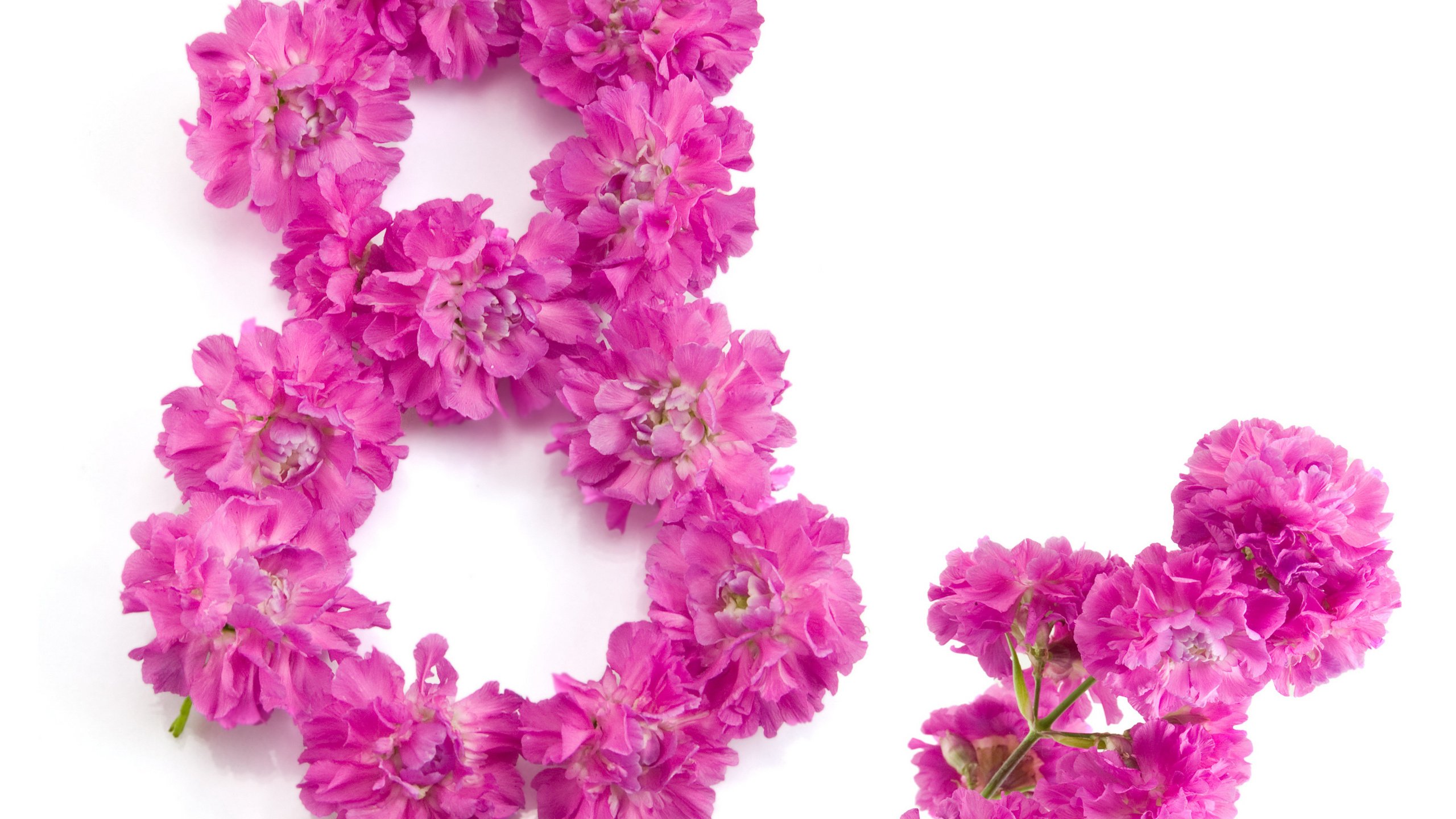 Обои цветы, 8 марта, международный женский день, flowers, march 8, international women's day разрешение 2560x1600 Загрузить