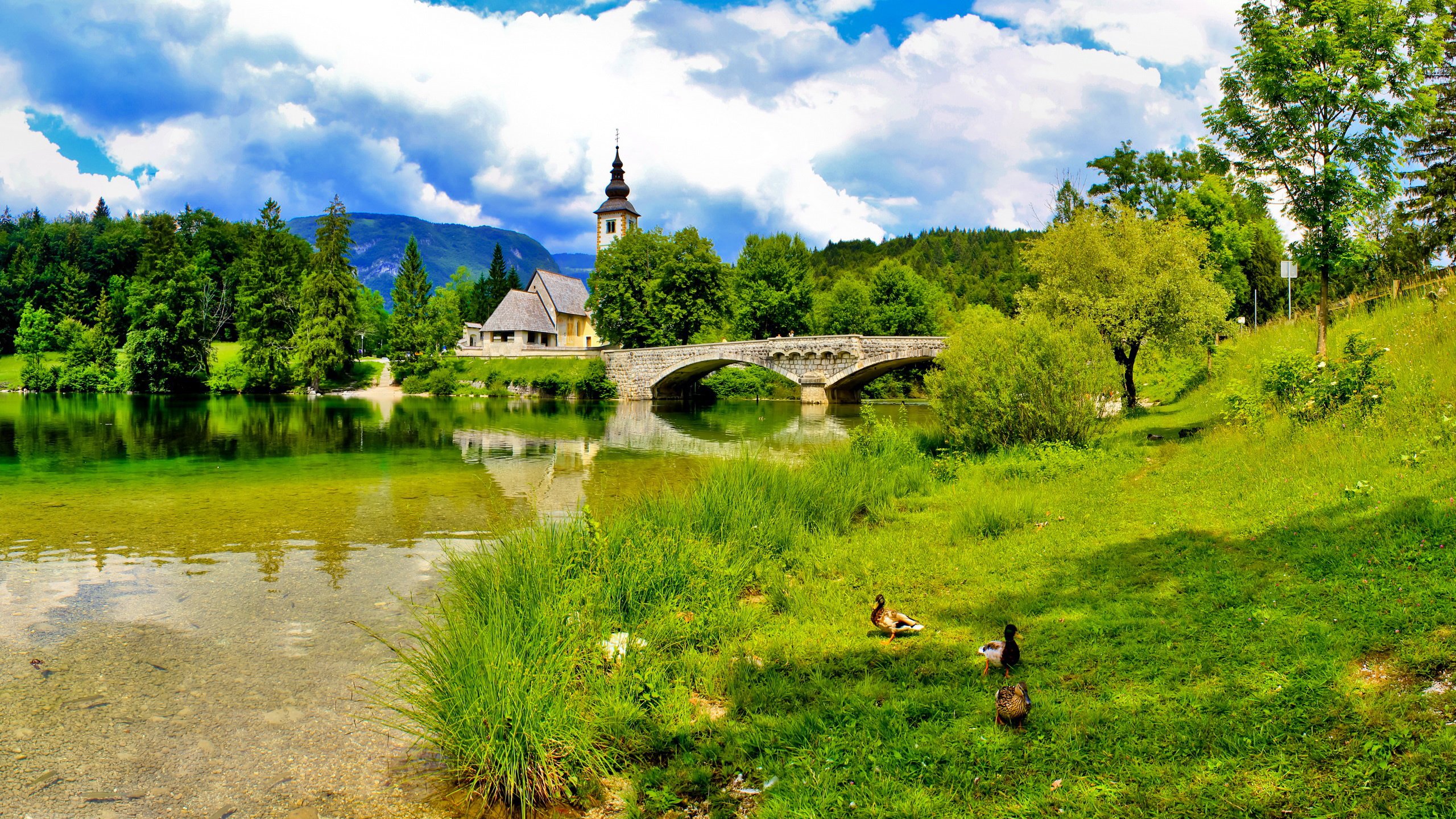 Обои небо, словения, трава, облака, река, солнце, лето, мост, церковь, the sky, slovenia, grass, clouds, river, the sun, summer, bridge, church разрешение 2560x1600 Загрузить