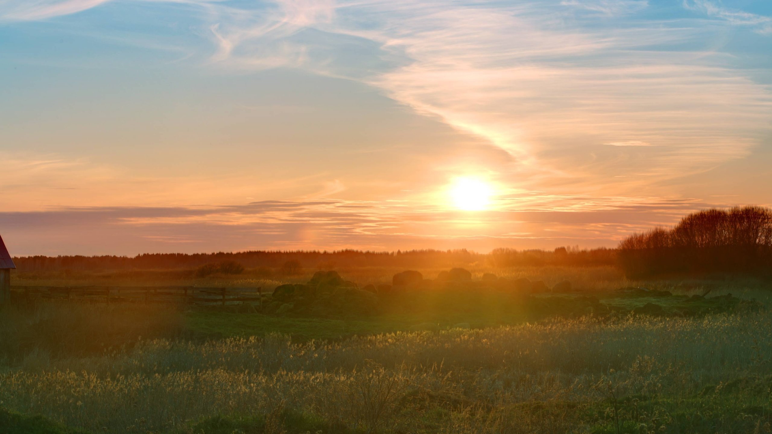 Обои трава, солнце, природа, утро, grass, the sun, nature, morning разрешение 3300x2186 Загрузить