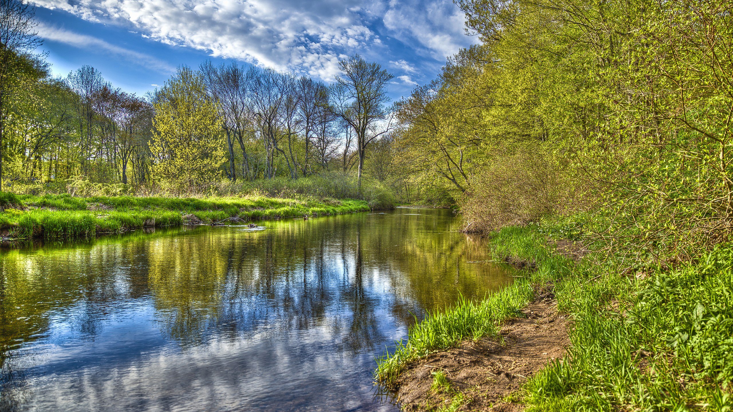 Обои небо, облака, река, лес, the sky, clouds, river, forest разрешение 2560x1600 Загрузить