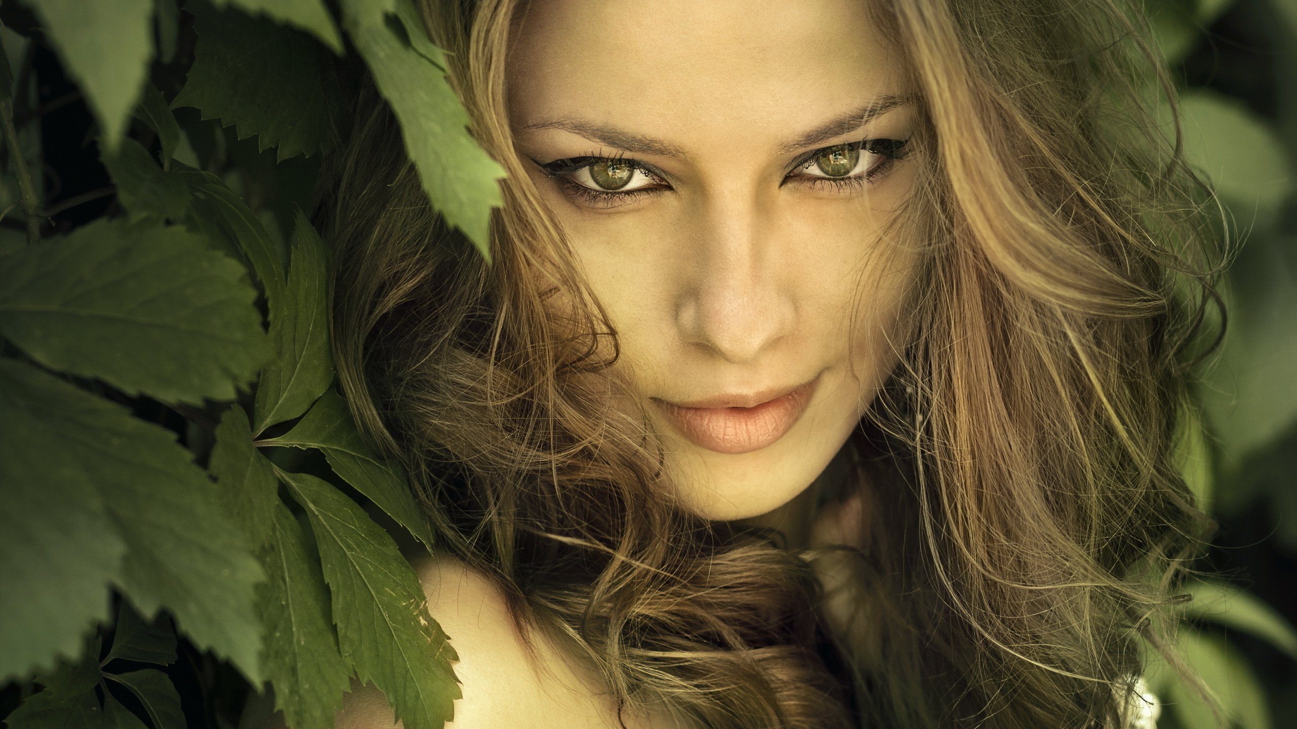 Обои глаза, природа, листья, девушка, взгляд, волосы, лицо, eyes, nature, leaves, girl, look, hair, face разрешение 2560x1600 Загрузить