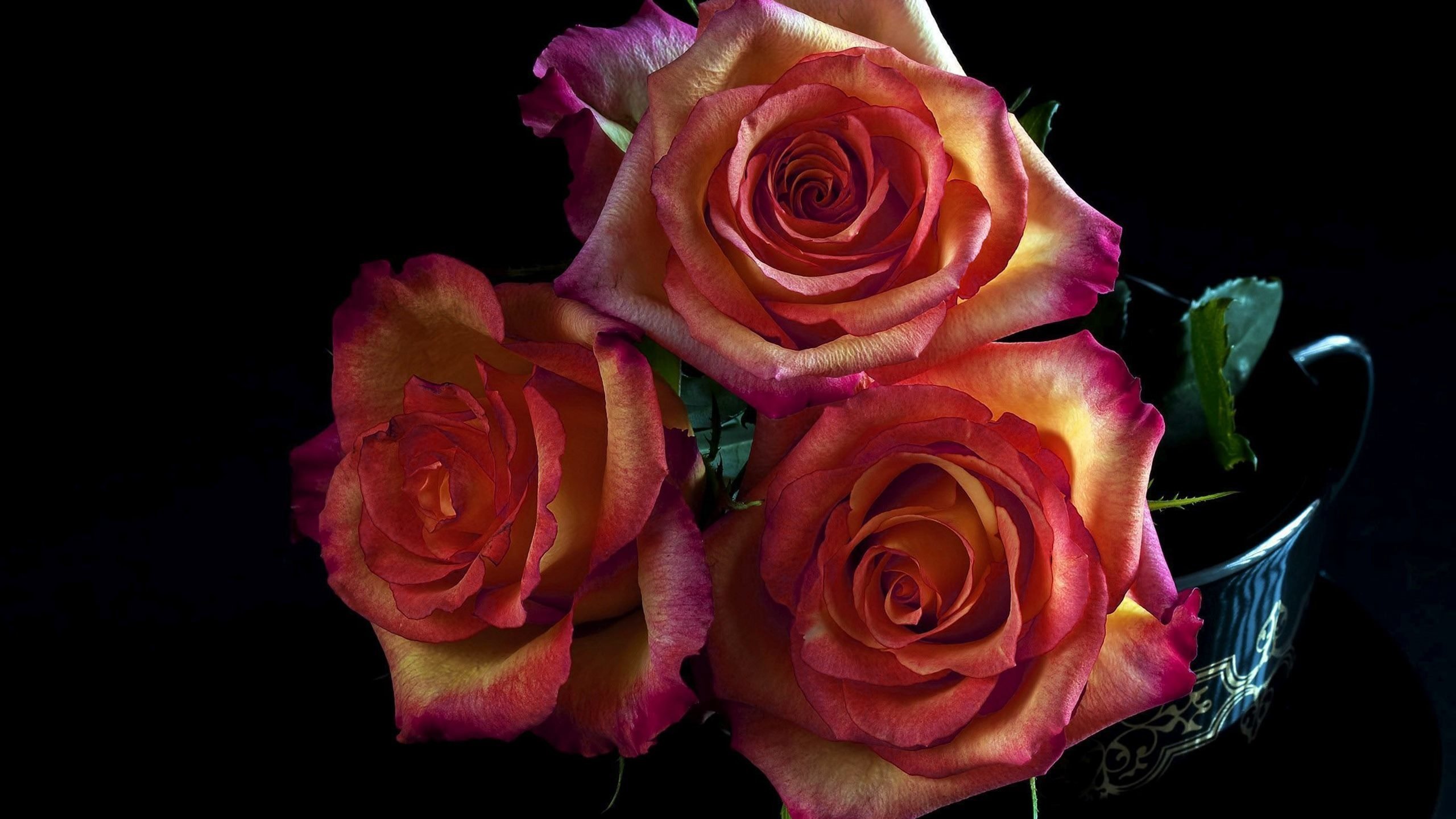 Красивые разноцветные розы