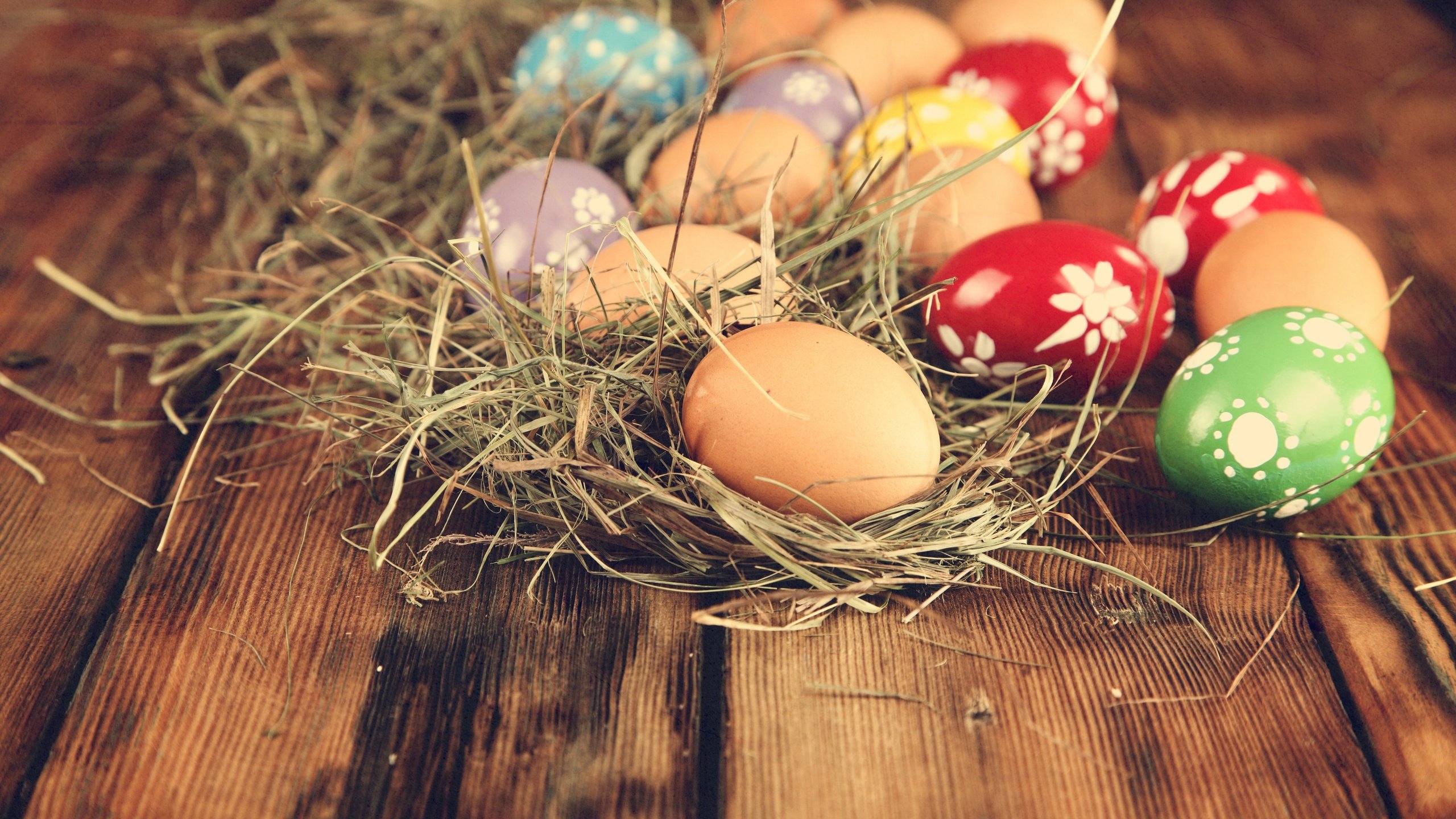 Обои сено, пасха, яйца, праздник, hay, easter, eggs, holiday разрешение 7000x4667 Загрузить