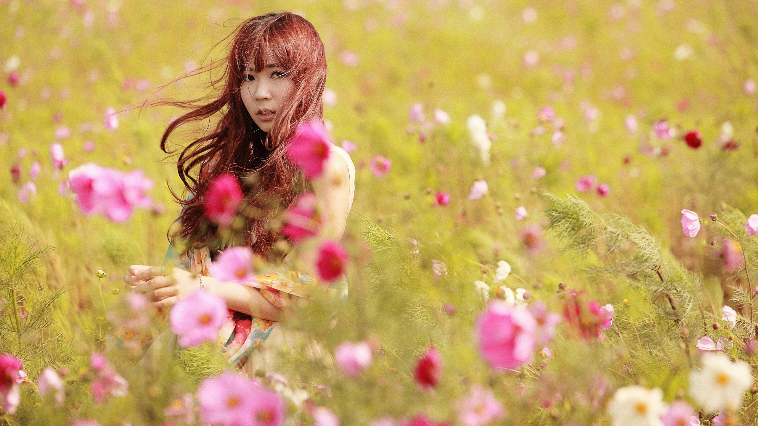 Обои цветы, девушка, луг, азиатка, космея, flowers, girl, meadow, asian, kosmeya разрешение 2560x1707 Загрузить