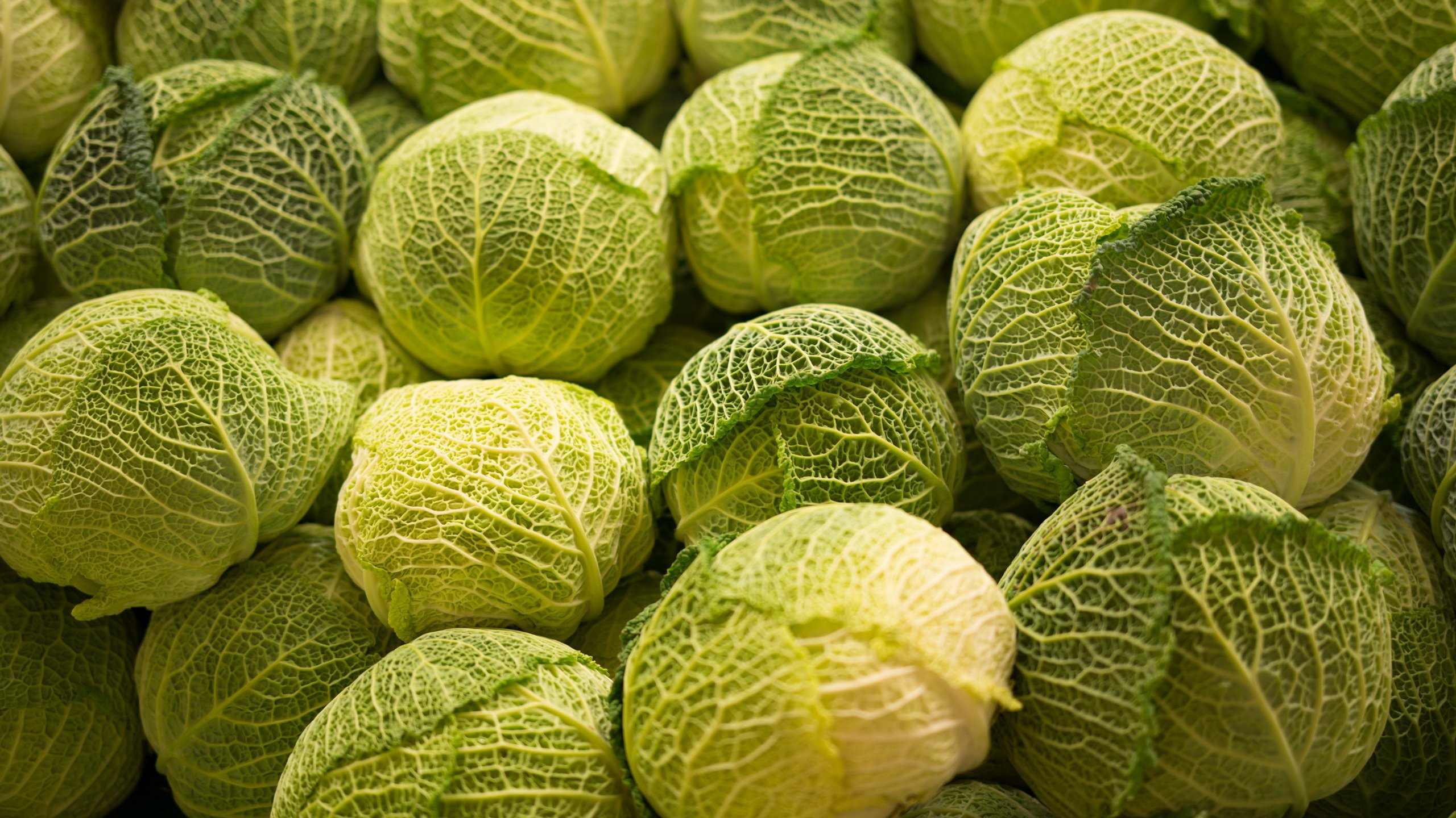 Обои фон, овощи, капуста, background, vegetables, cabbage разрешение 2560x1710 Загрузить