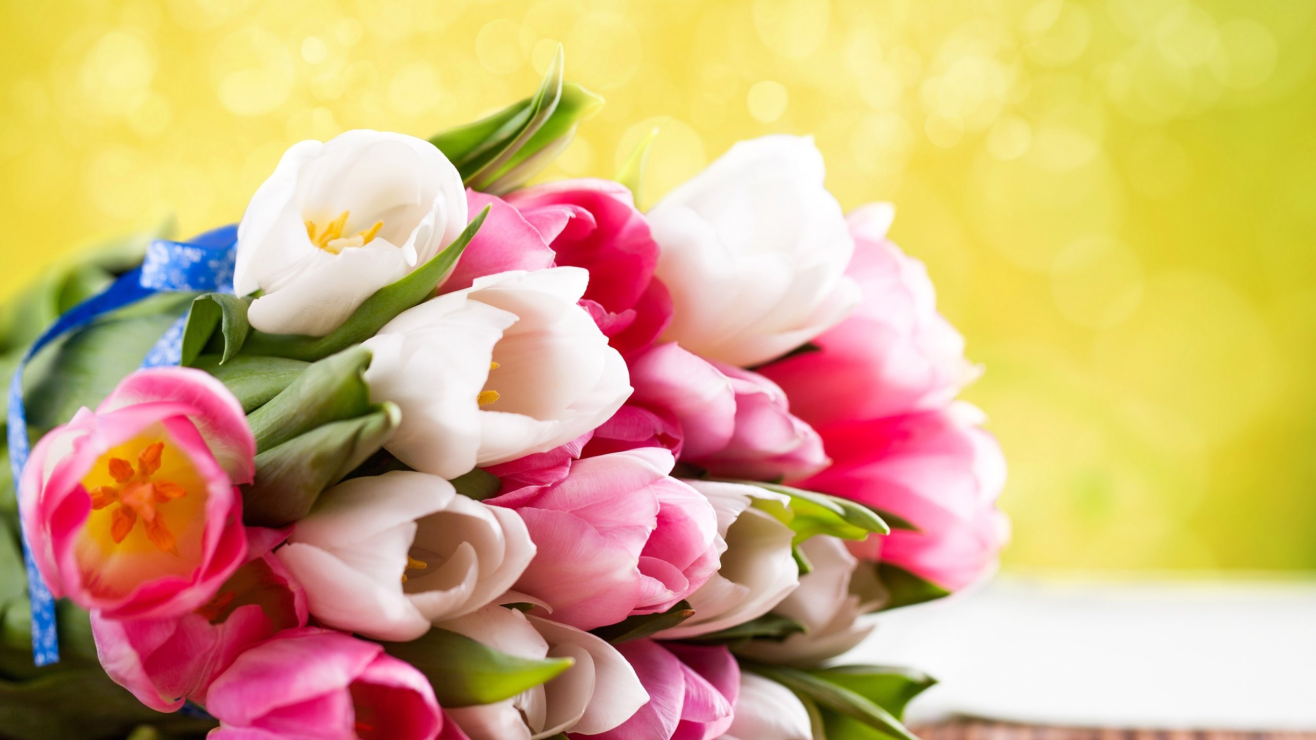 Обои цветы, весна, букет, тюльпаны, подарок, flowers, spring, bouquet, tulips, gift разрешение 4500x3144 Загрузить