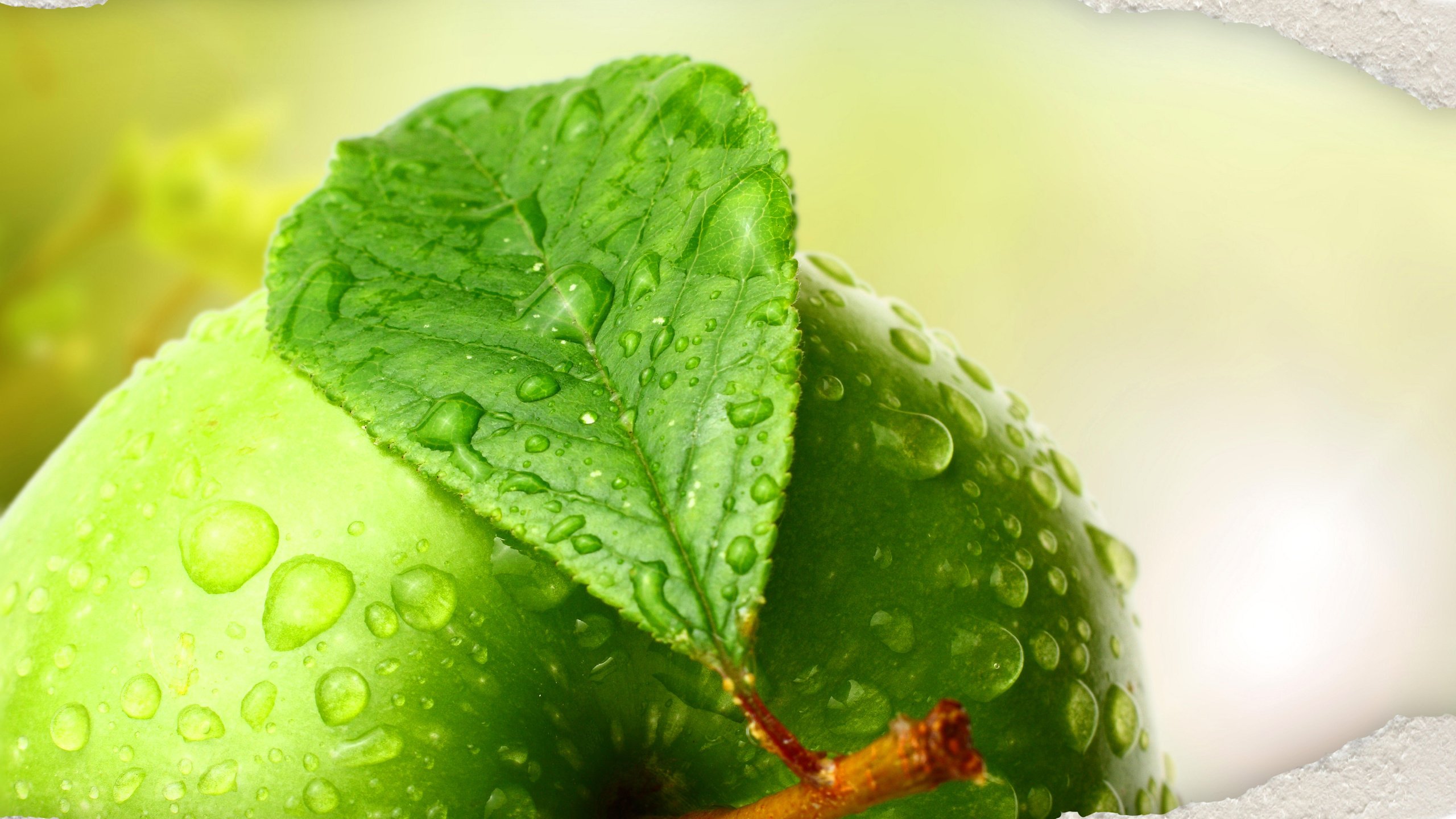 Обои вода, макро, капли, фрукты, яблоко, листик, зеленое, water, macro, drops, fruit, apple, leaf, green разрешение 6912x5552 Загрузить