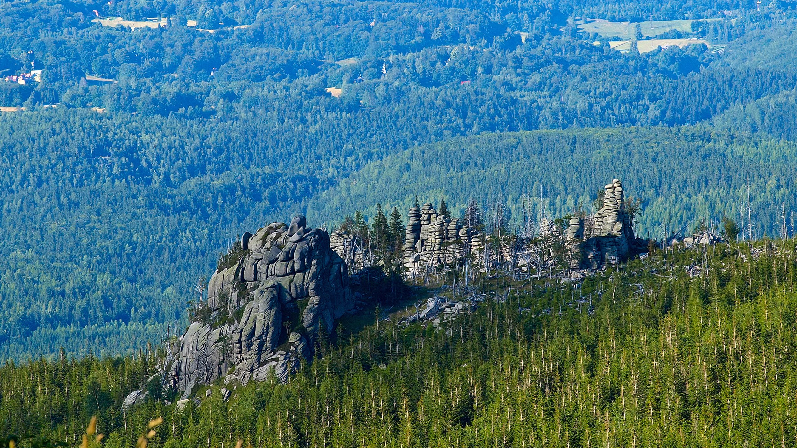 Обои деревья, скалы, природа, лес, пейзаж, trees, rocks, nature, forest, landscape разрешение 2560x1600 Загрузить