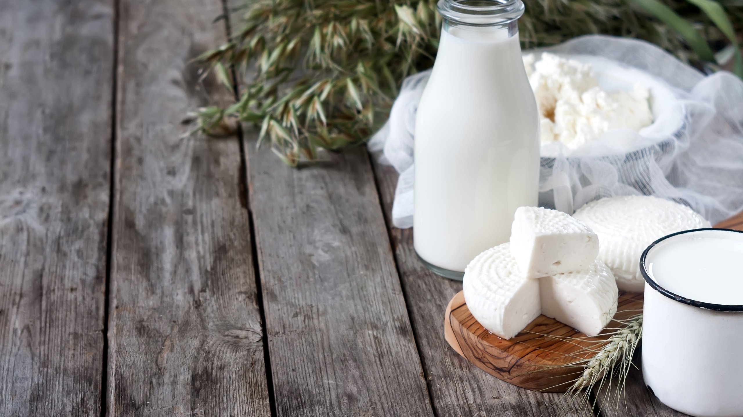 Обои доски, сыр, кружка, бутылка, молоко, творог, молочные продукты, board, cheese, mug, bottle, milk, dairy products разрешение 2700x1800 Загрузить