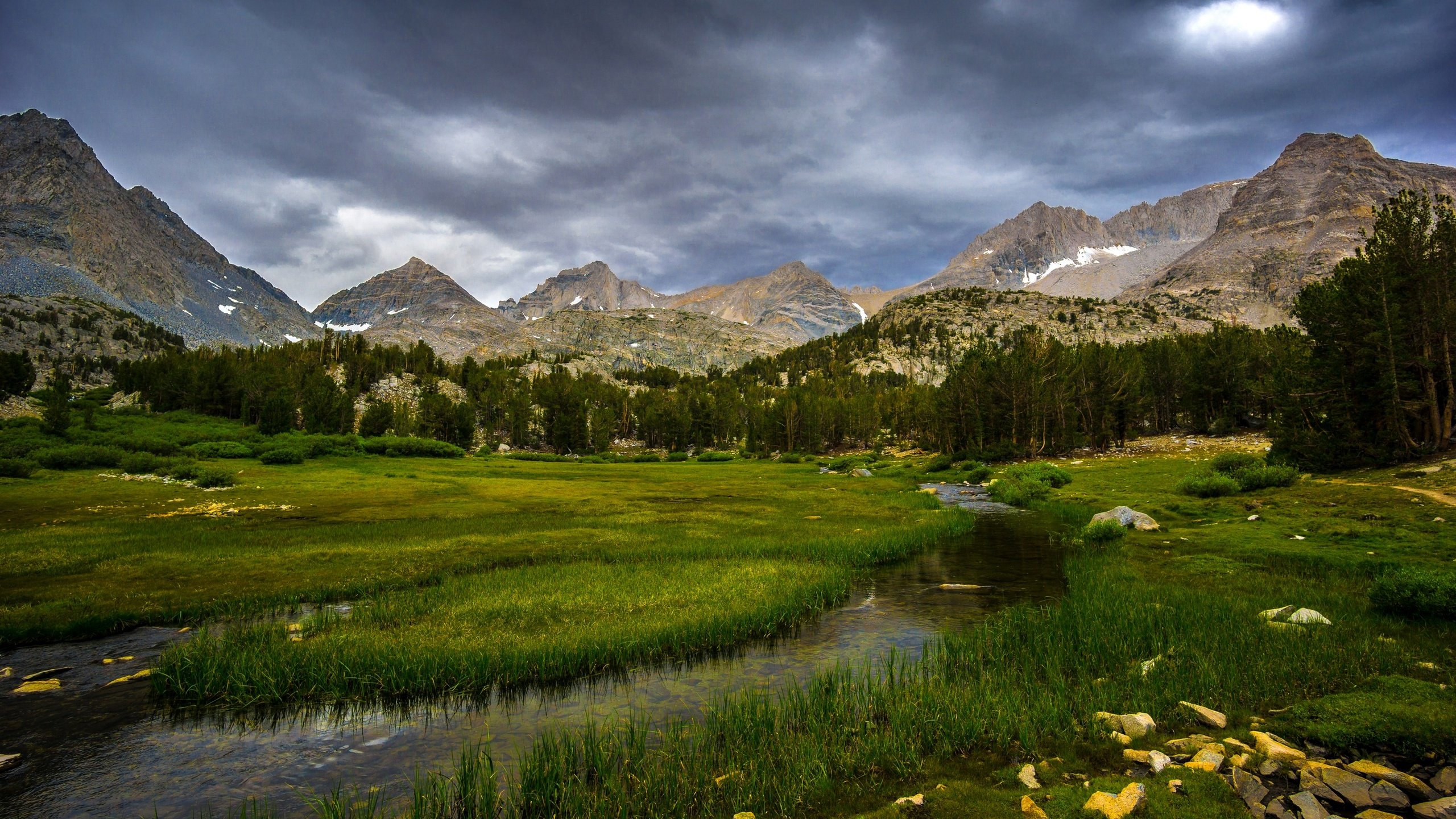 Обои трава, сша, деревья, калифорния, горы, inyo national forest, скалы, камни, лес, ручей, поляна, grass, usa, trees, ca, mountains, rocks, stones, forest, stream, glade разрешение 2880x1620 Загрузить