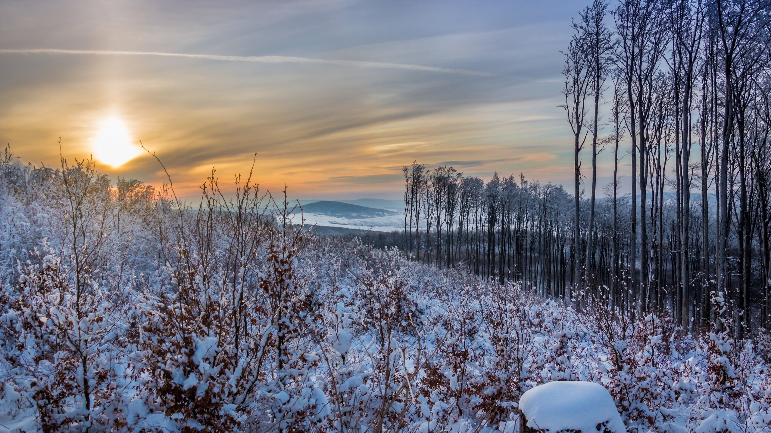 Обои небо, деревья, солнце, снег, природа, закат, зима, the sky, trees, the sun, snow, nature, sunset, winter разрешение 2880x1920 Загрузить