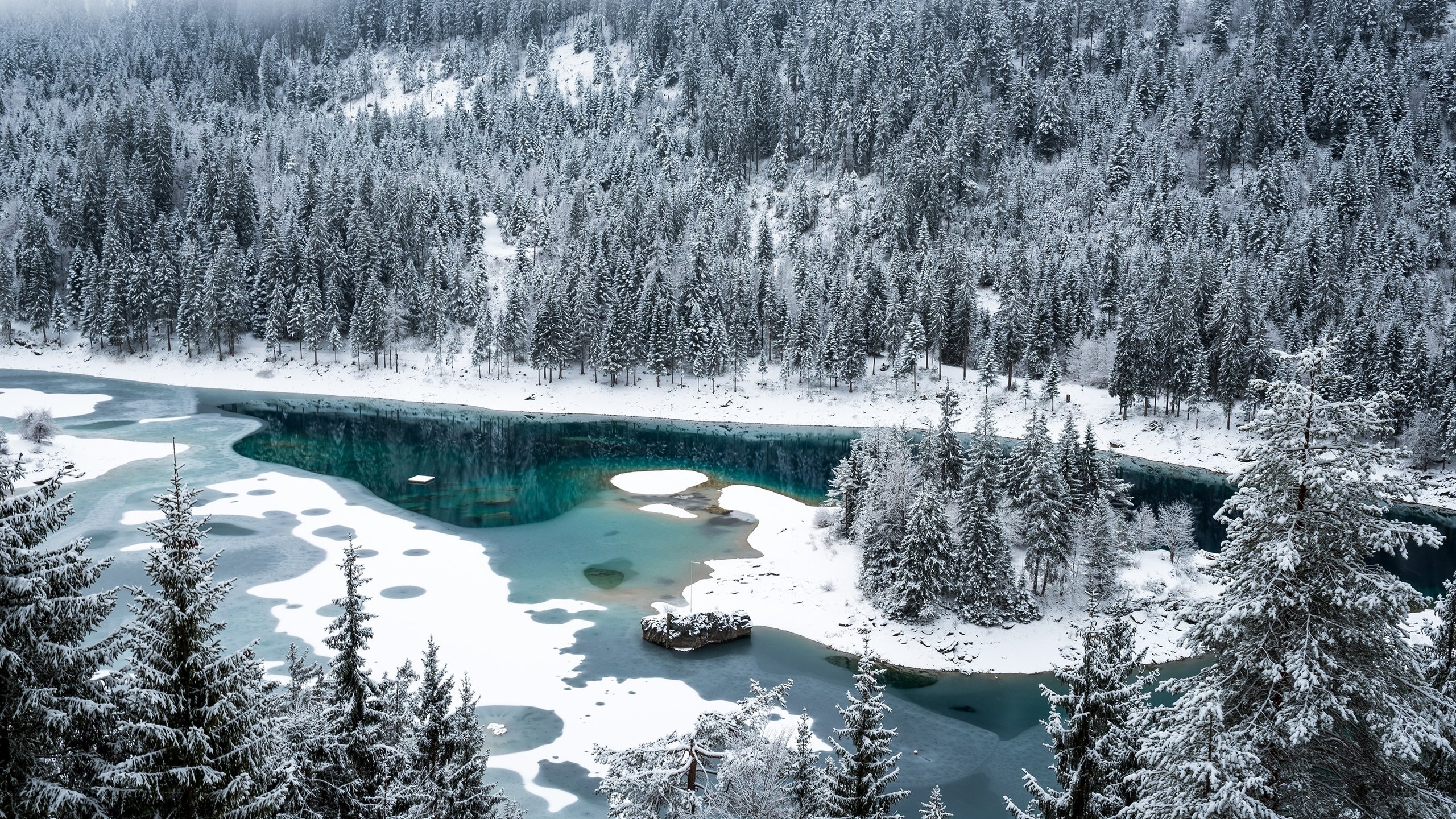 Обои снег, лес, зима, швейцария, озеро каума, флимс, snow, forest, winter, switzerland, lake cauma, flims разрешение 3000x2003 Загрузить