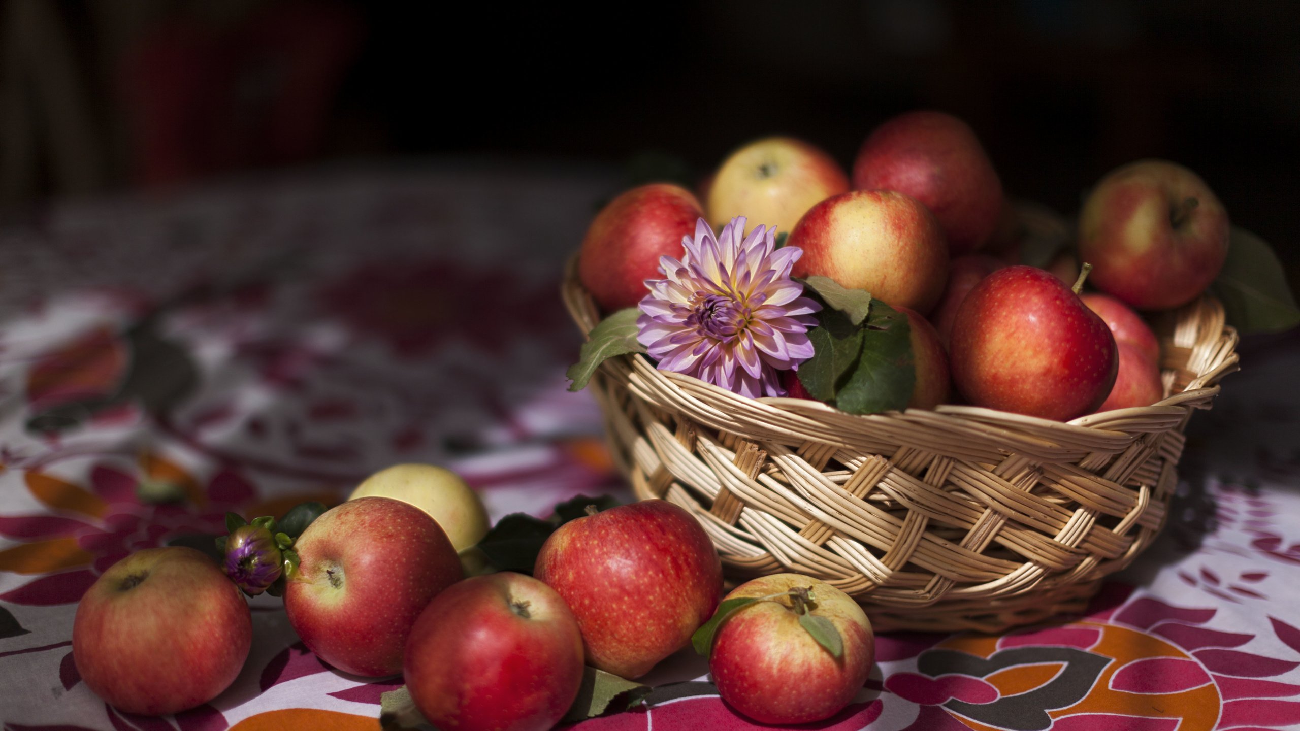 Обои еда, фрукты, яблоки, food, fruit, apples разрешение 5616x3744 Загрузить