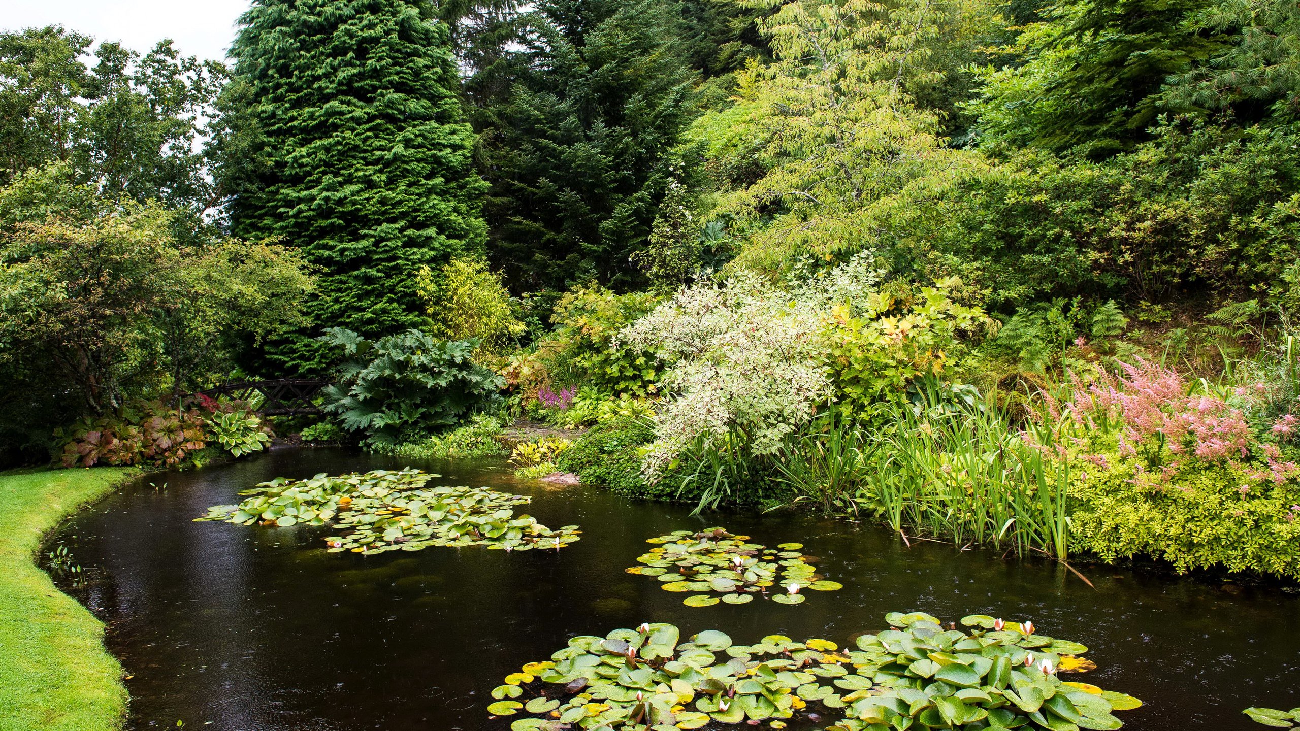 Обои деревья, парк, кусты, пруд, шотландия, attadale gardens, strathcarron, trees, park, the bushes, pond, scotland разрешение 3005x2000 Загрузить