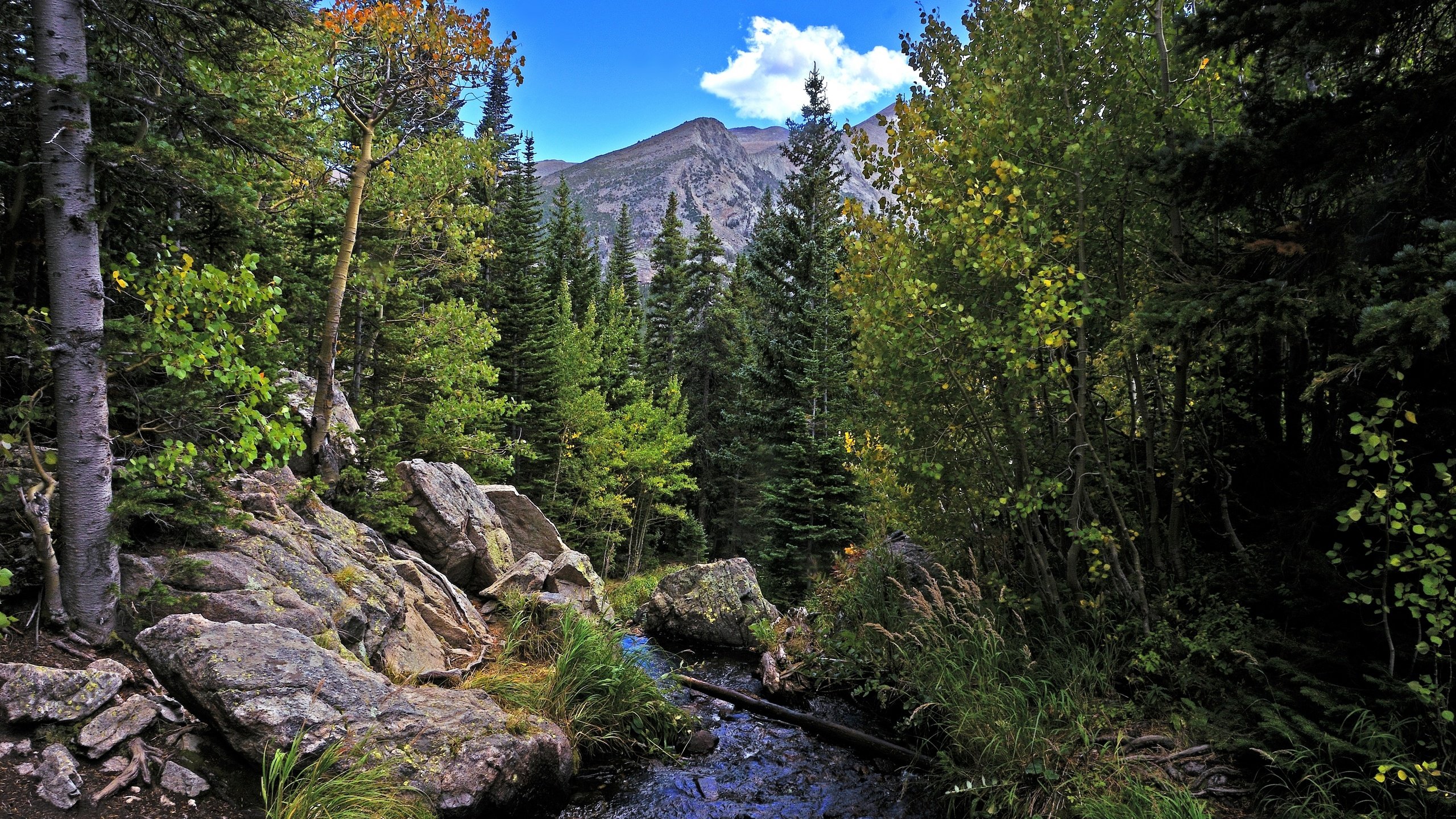 Обои деревья, река, горы, скалы, лес, пейзаж, осень, rocky mountain national park, trees, river, mountains, rocks, forest, landscape, autumn разрешение 2880x1908 Загрузить