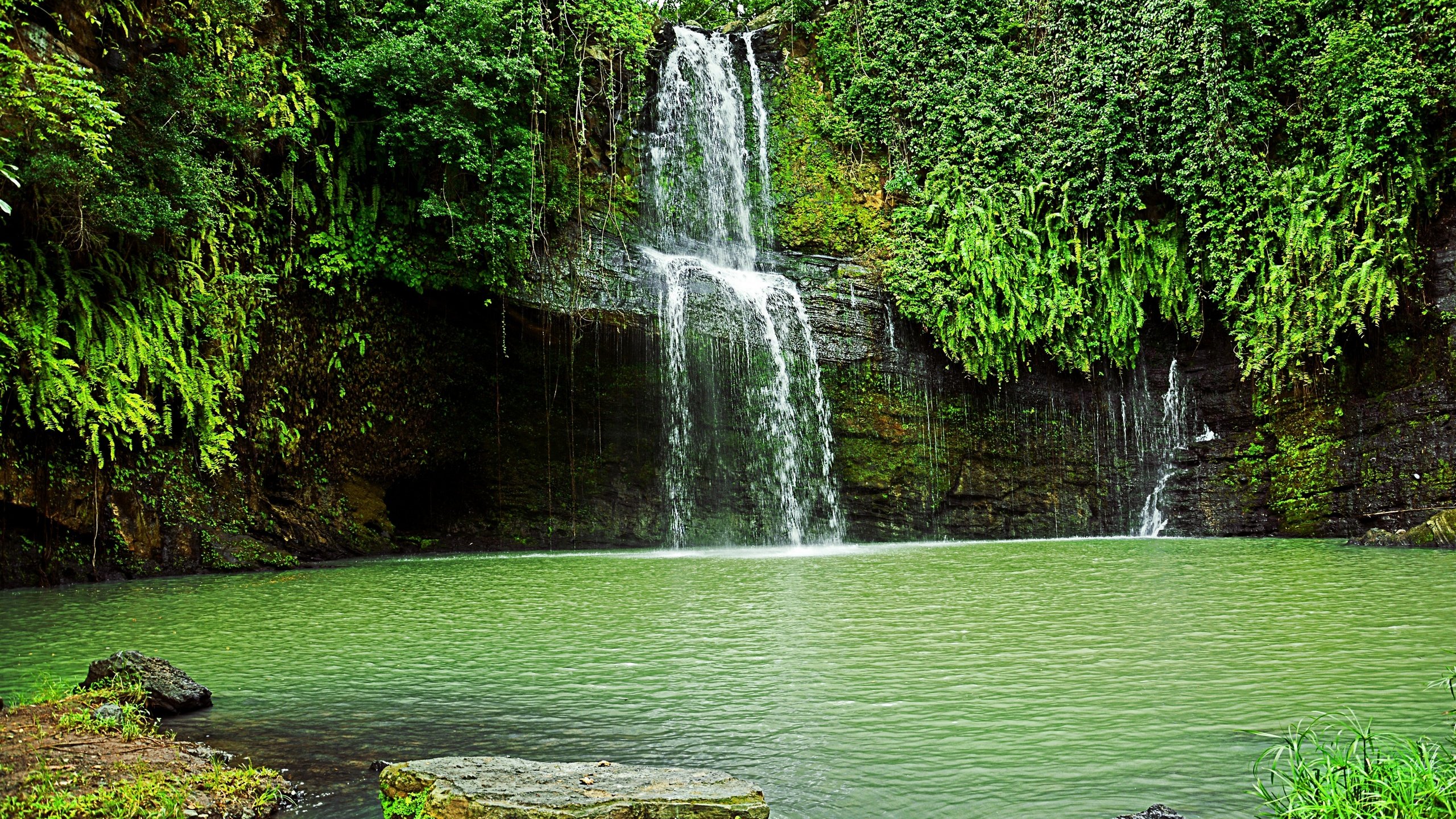 водопад водоем waterfall the pond бесплатно