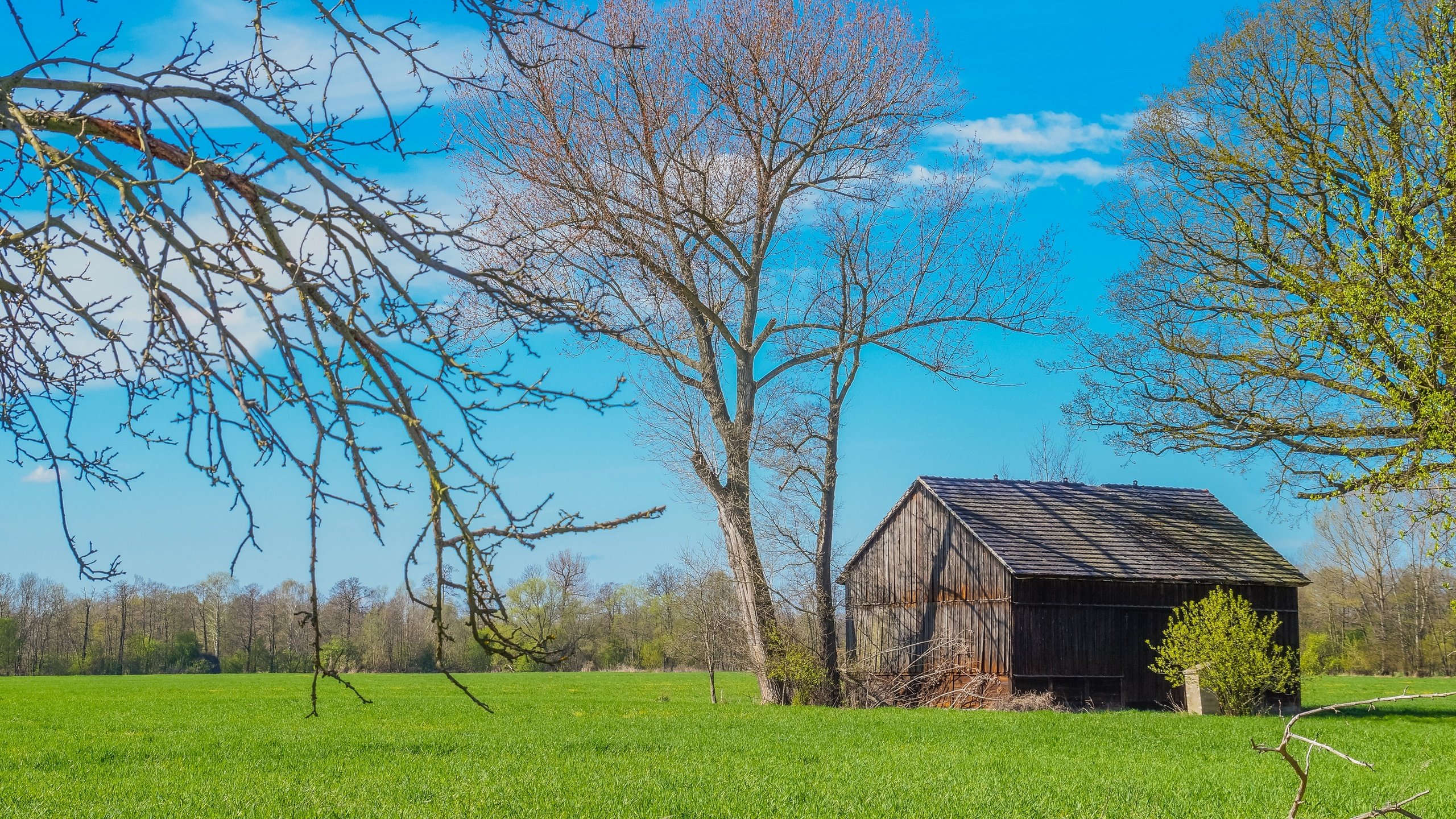 Обои деревья, пейзаж, поле, дом, trees, landscape, field, house разрешение 2880x1917 Загрузить