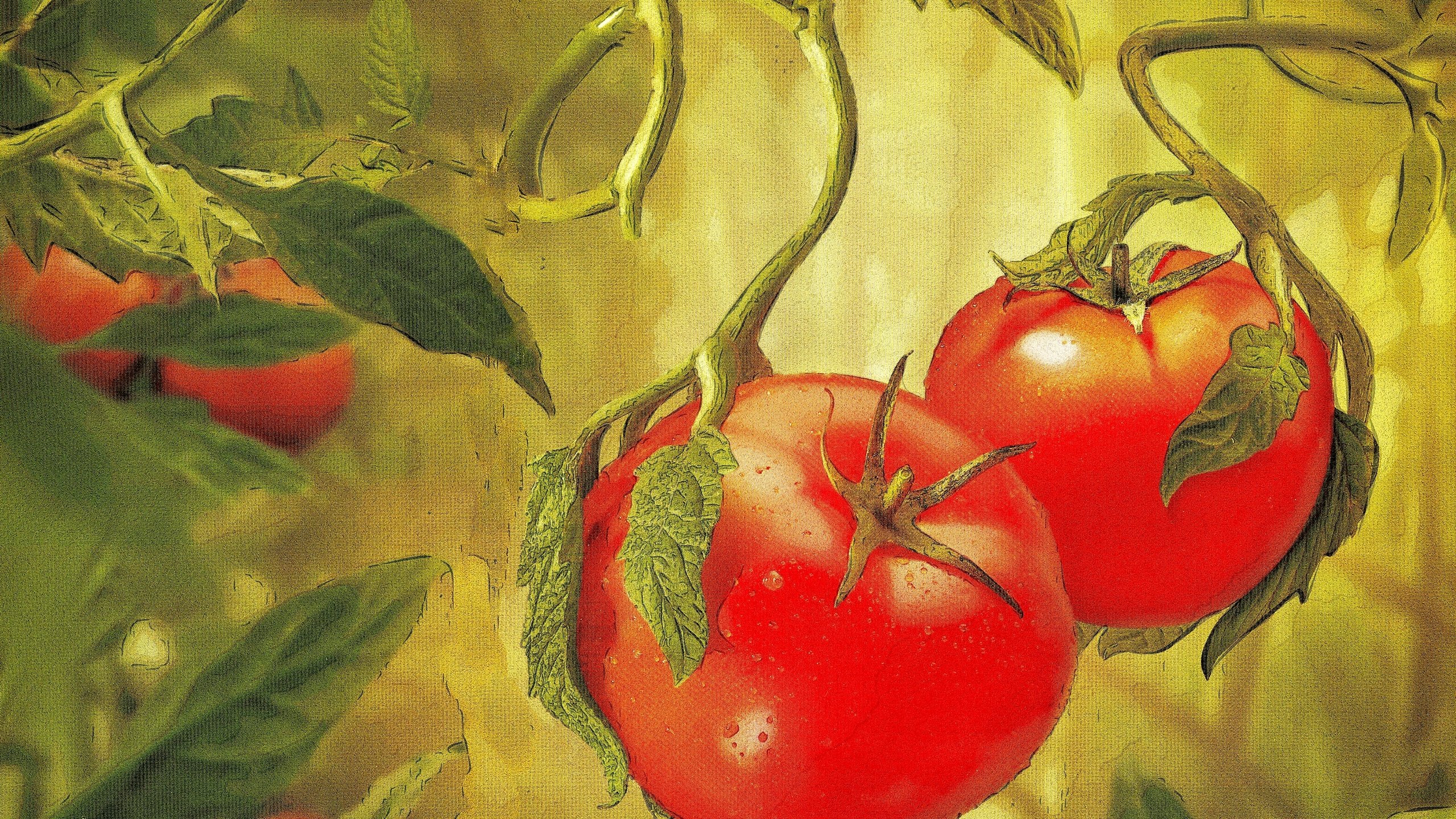 Обои овощи, живопись, помидоры, vegetables, painting, tomatoes разрешение 2880x1920 Загрузить