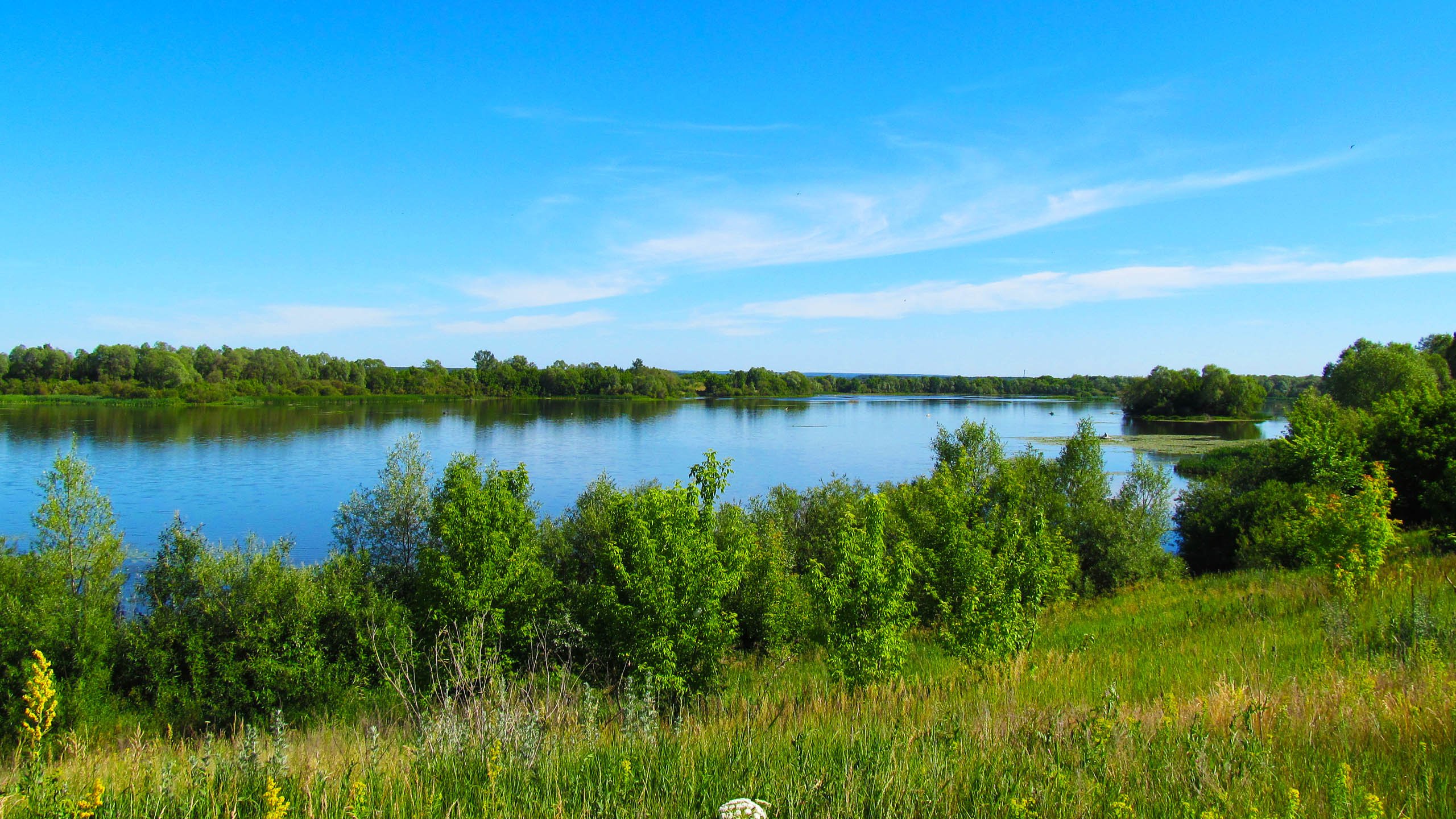 Обои небо, деревья, река, сура, берег реки, the sky, trees, river, sur, the river разрешение 2560x1600 Загрузить