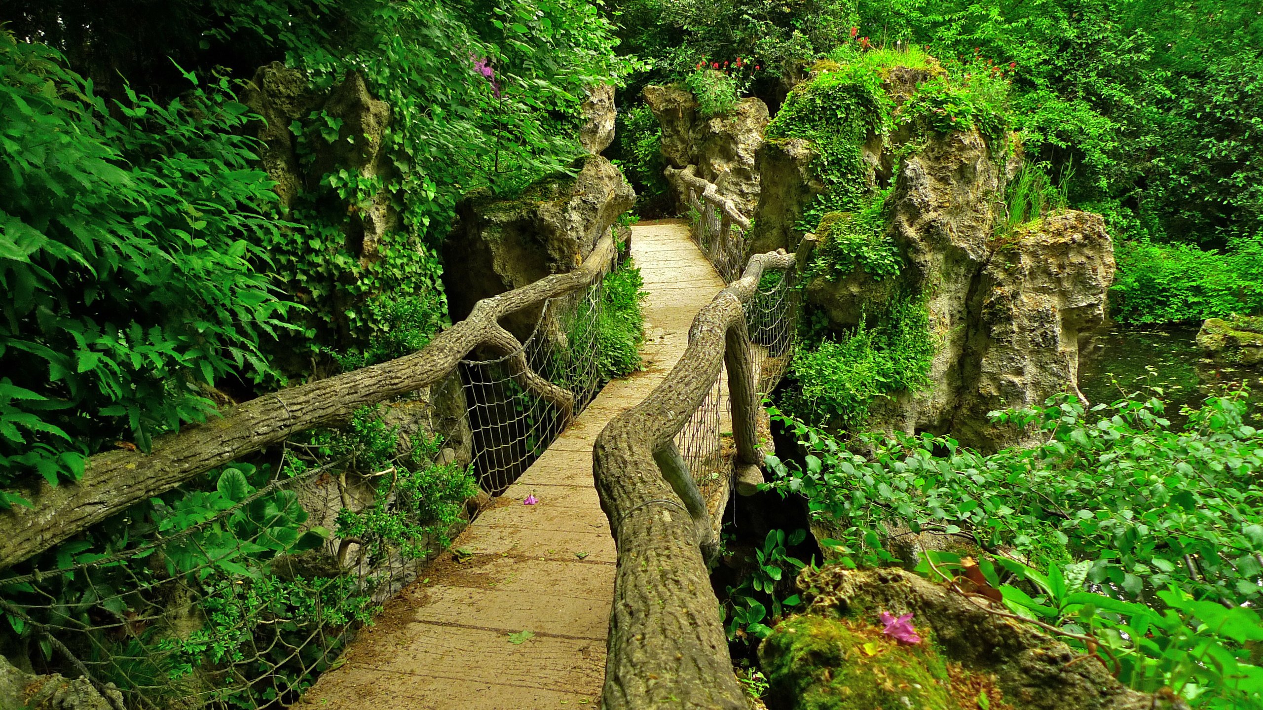 Обои камни, пруд, зелень, франция, листья, albert-kahn japanese gardens, ветки, кусты, мост, сад, париж, stones, pond, greens, france, leaves, branches, the bushes, bridge, garden, paris разрешение 2592x1944 Загрузить