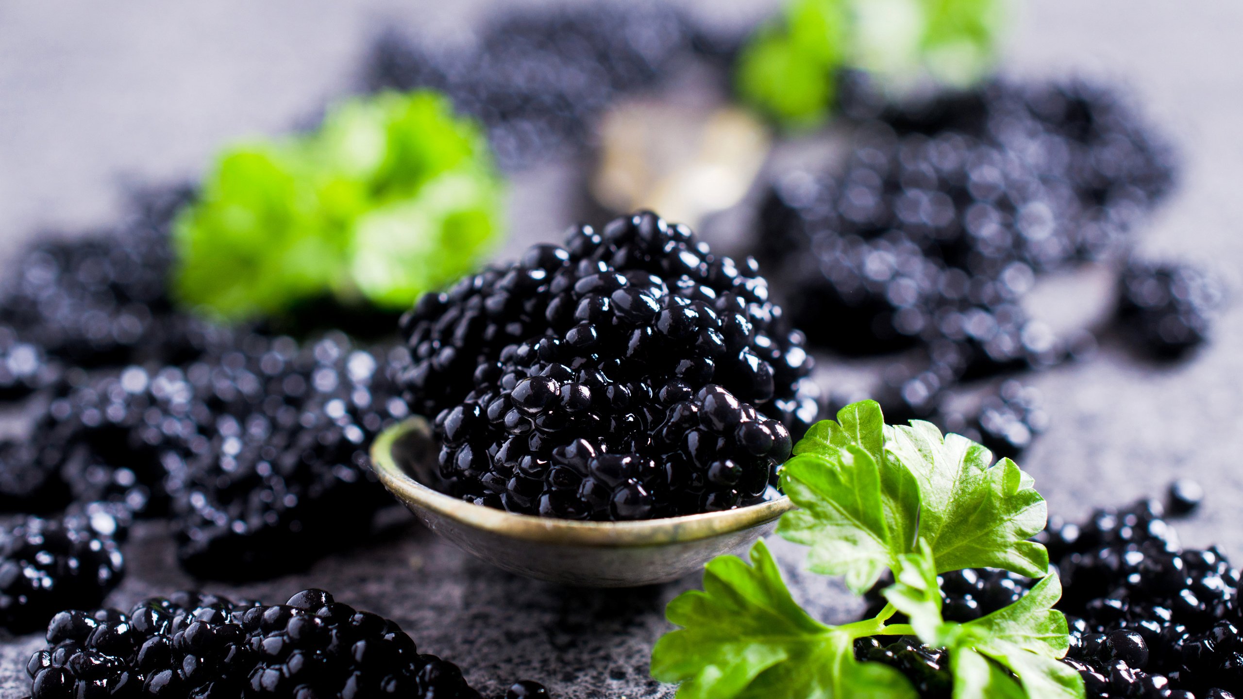 Обои черная, икра, петрушка, черная икра, black, caviar, parsley, black caviar разрешение 2880x1908 Загрузить