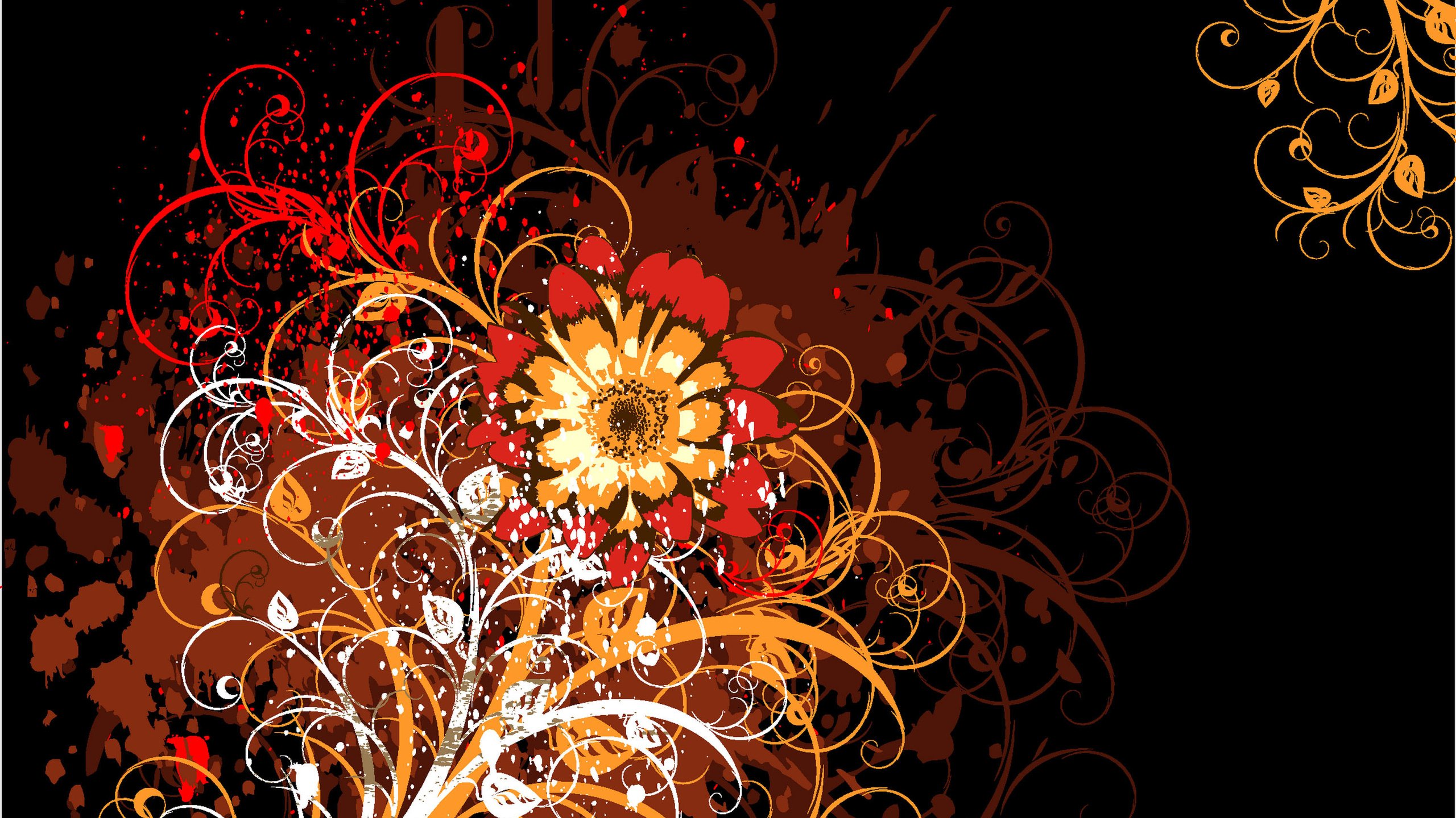Обои абстракция, цветок, узоры, черный фон, abstraction, flower, patterns, black background разрешение 3000x2219 Загрузить