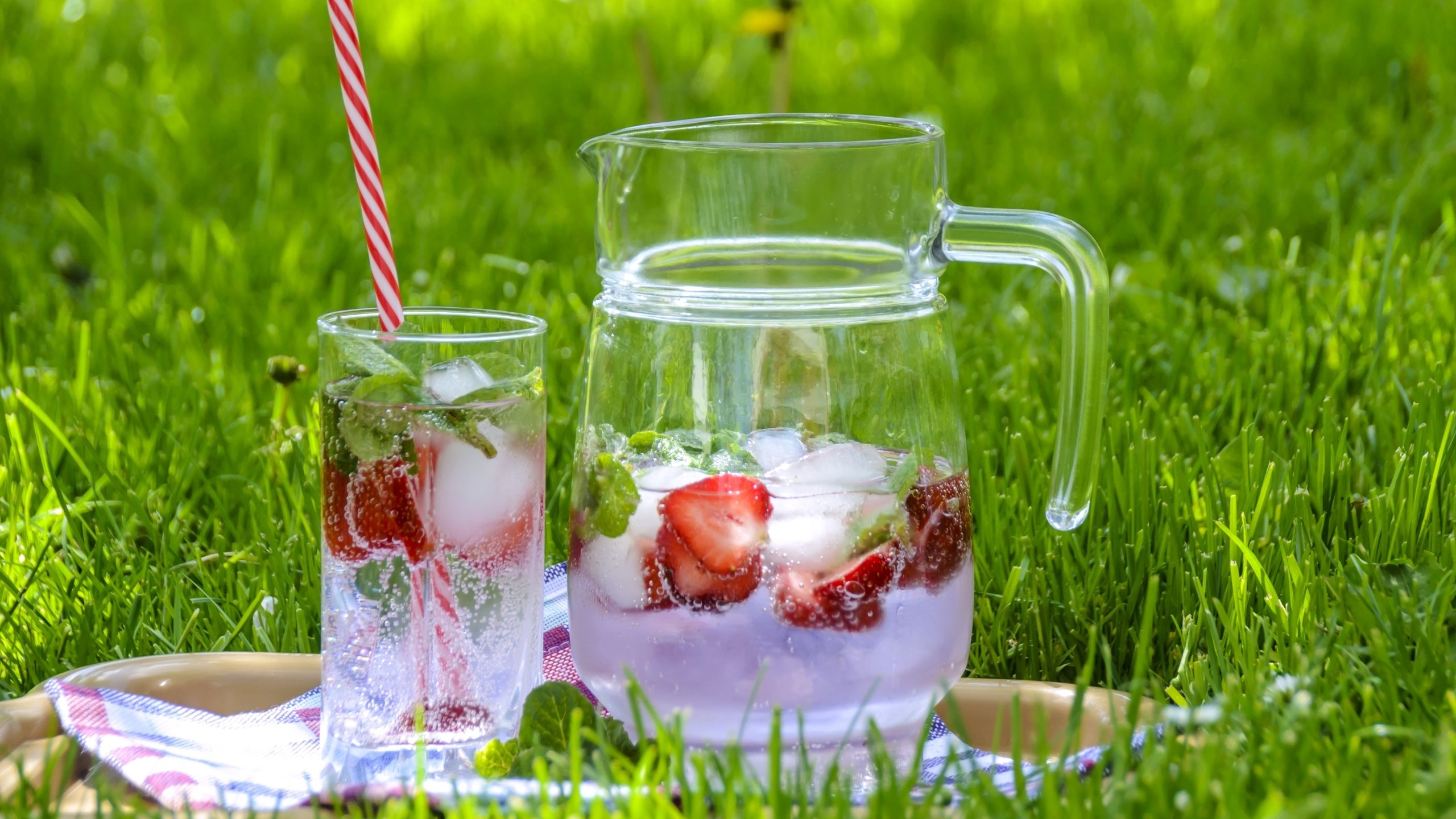 Обои трава, напиток, клубника, лёд, стакан, кувшин, лимонад, grass, drink, strawberry, ice, glass, pitcher, lemonade разрешение 3000x2000 Загрузить