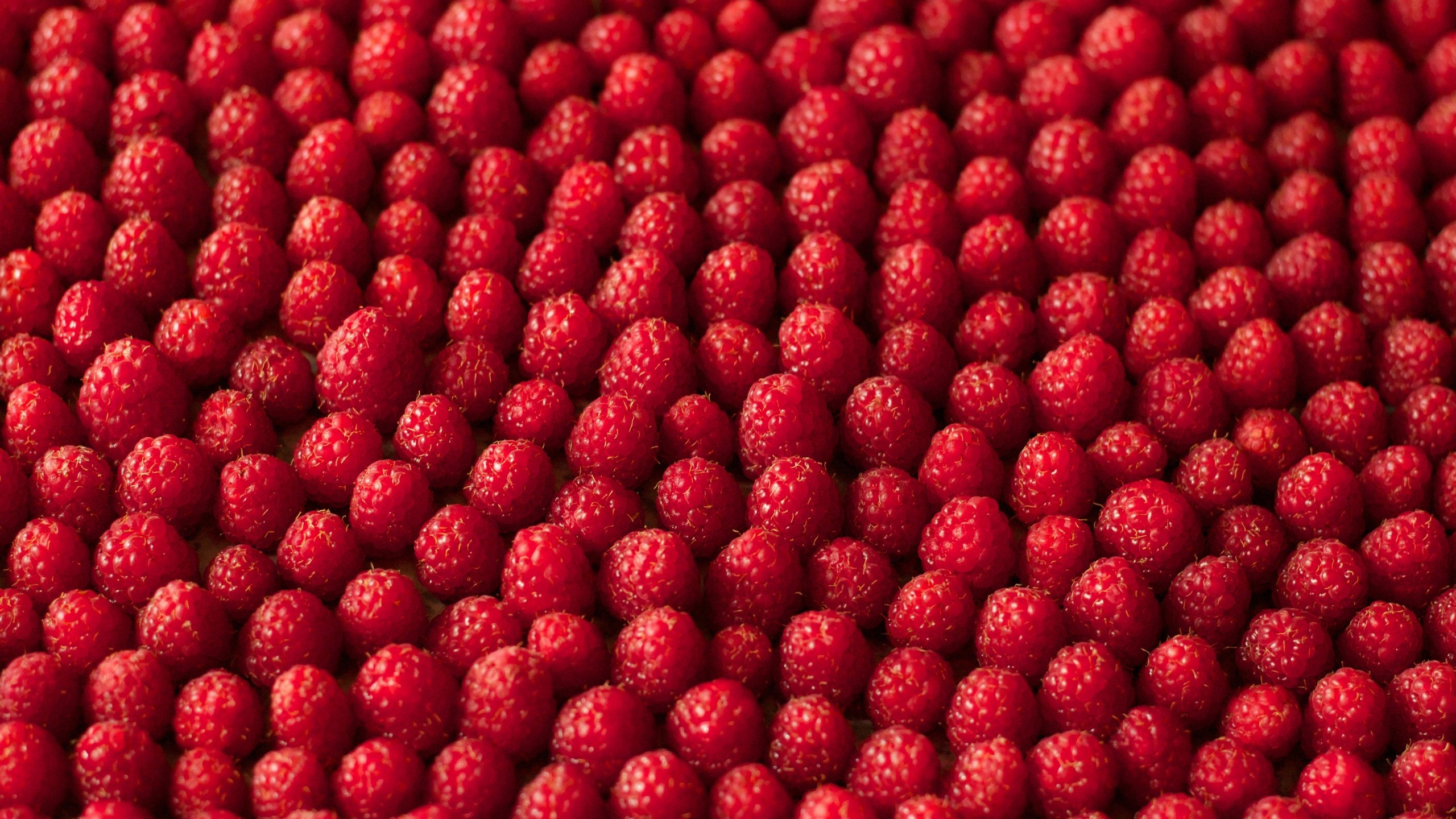 Обои текстура, макро, малина, ягоды, texture, macro, raspberry, berries разрешение 5112x3154 Загрузить