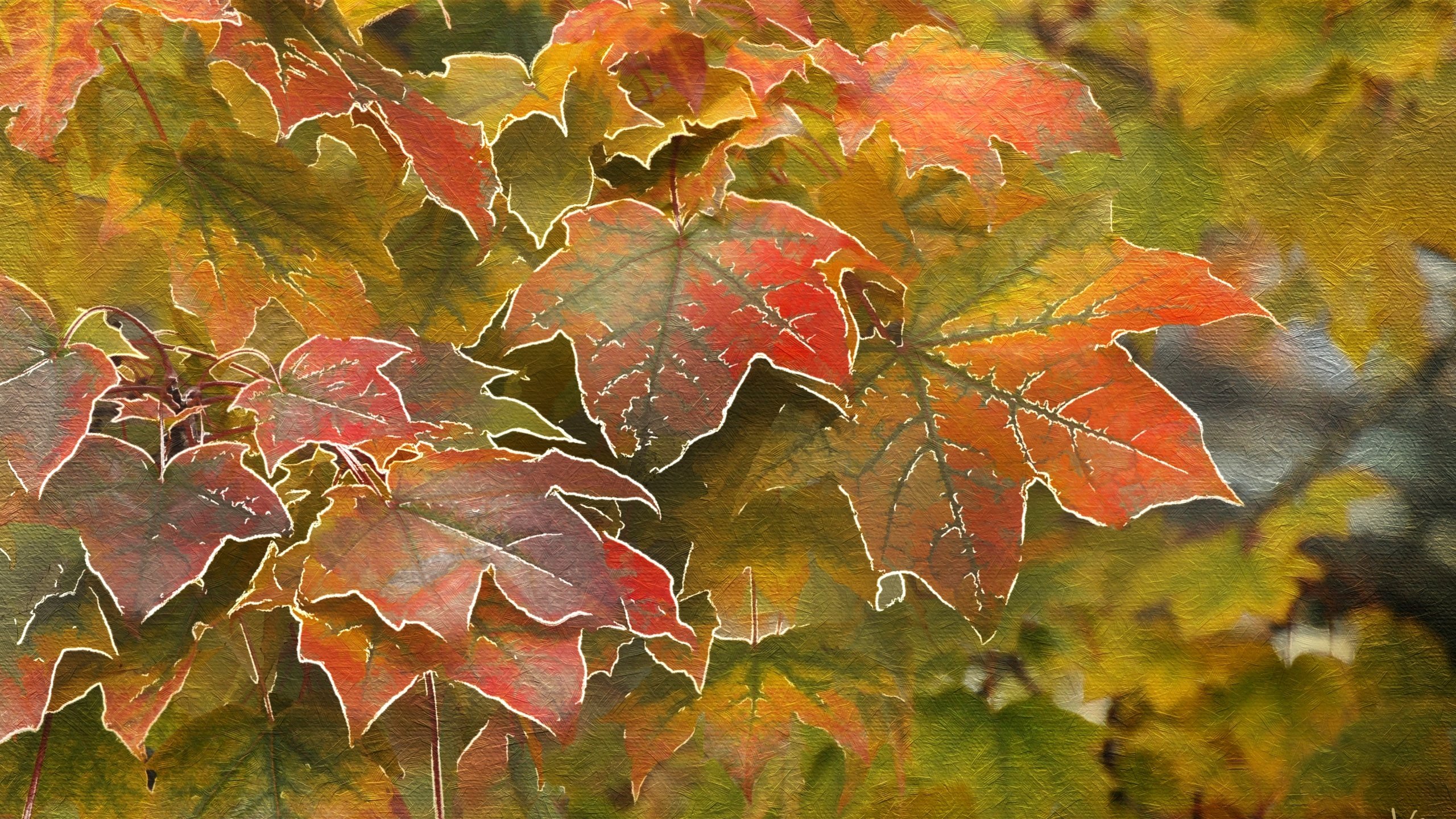 Обои листья, осень, клен, leaves, autumn, maple разрешение 4000x2619 Загрузить