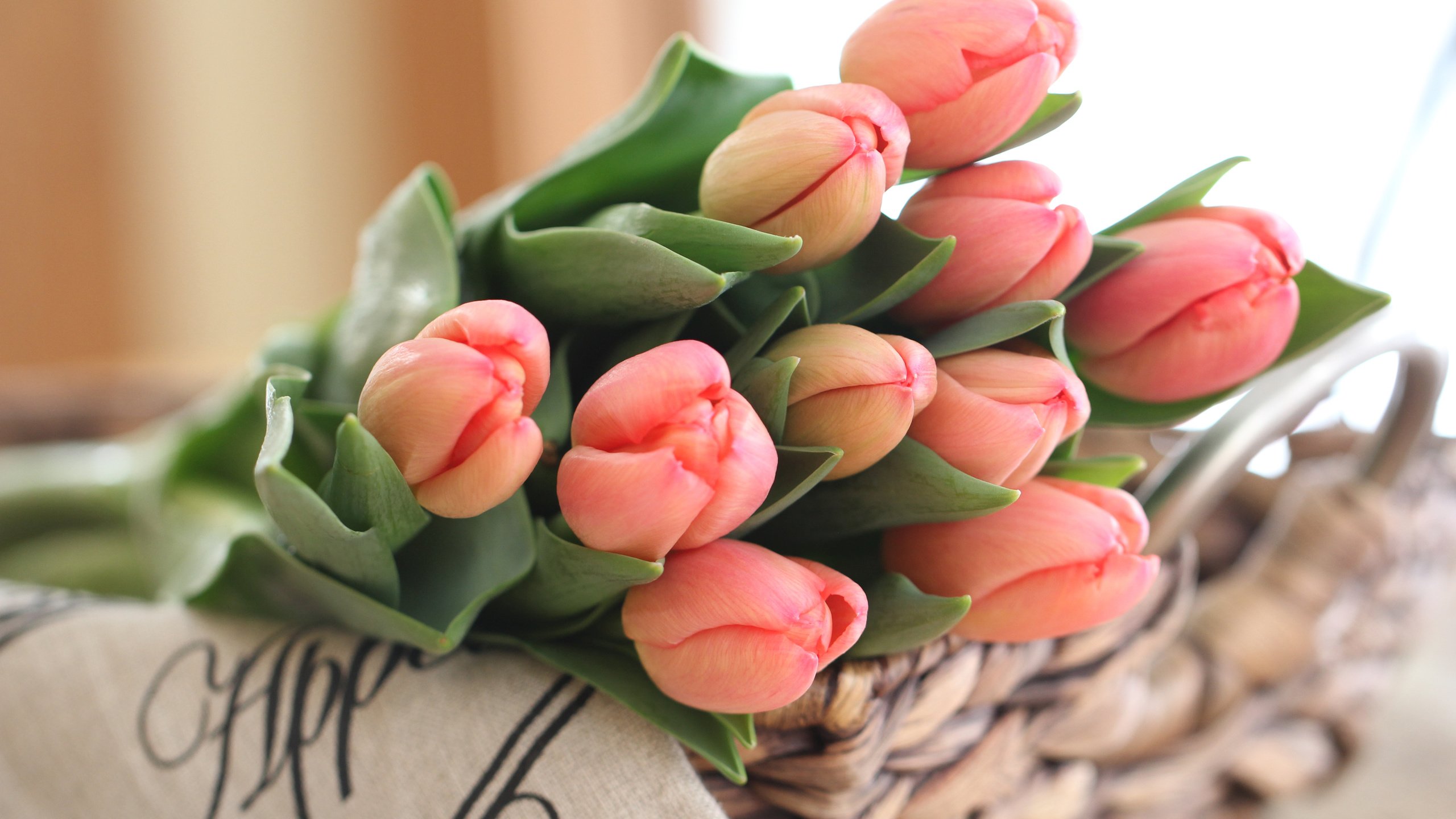 Обои бутоны, букет, тюльпаны, buds, bouquet, tulips разрешение 5184x3456 Загрузить