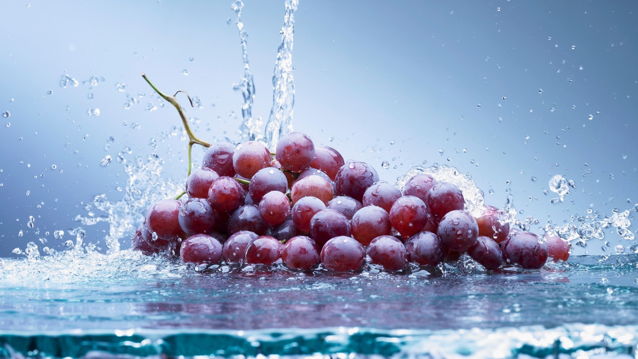 Обои вода, виноград, water, grapes разрешение 2560x1772 Загрузить