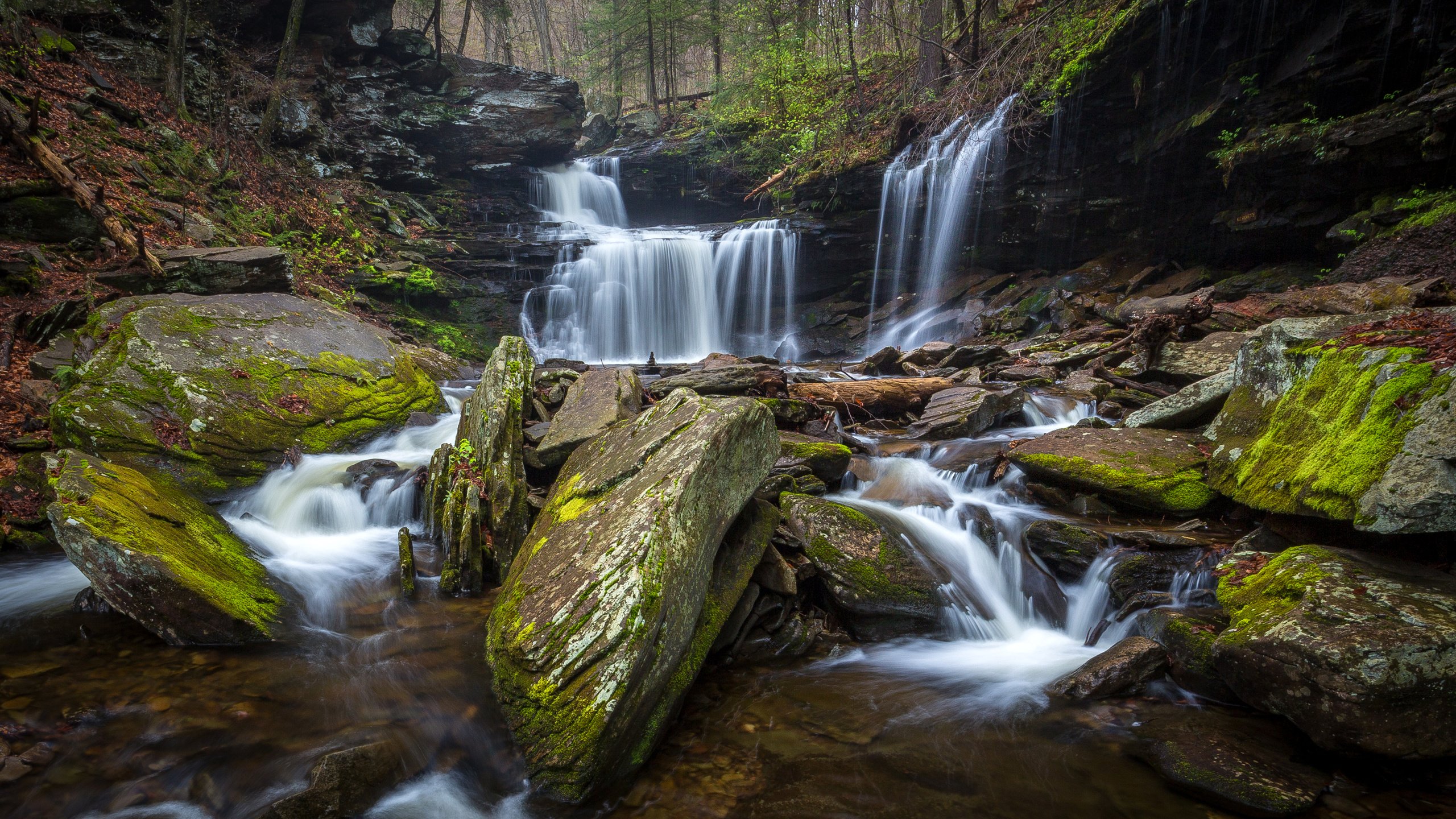 Обои деревья, камни, лес, ручей, водопад, сша, мох, ricketts glen state park, trees, stones, forest, stream, waterfall, usa, moss разрешение 3209x2000 Загрузить