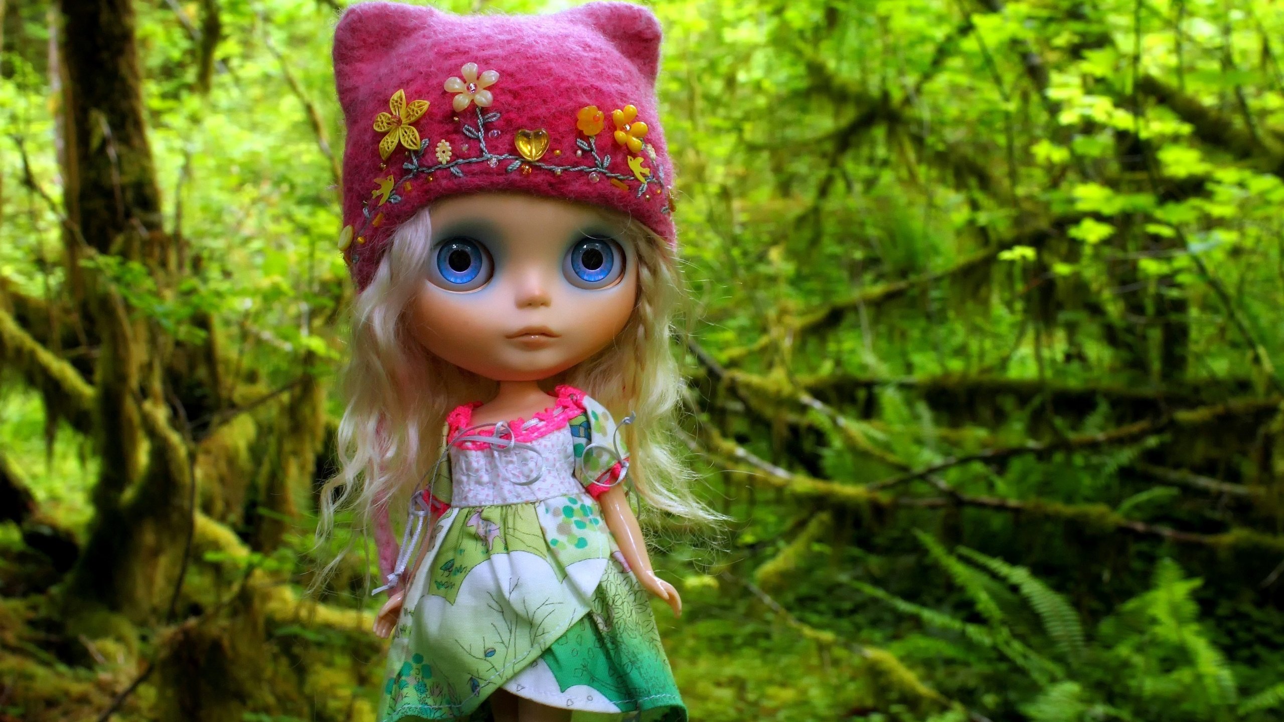 Обои лес, игрушка, кукла, волосы, шапка, шапочка, forest, toy, doll, hair, hat, cap разрешение 3500x2309 Загрузить