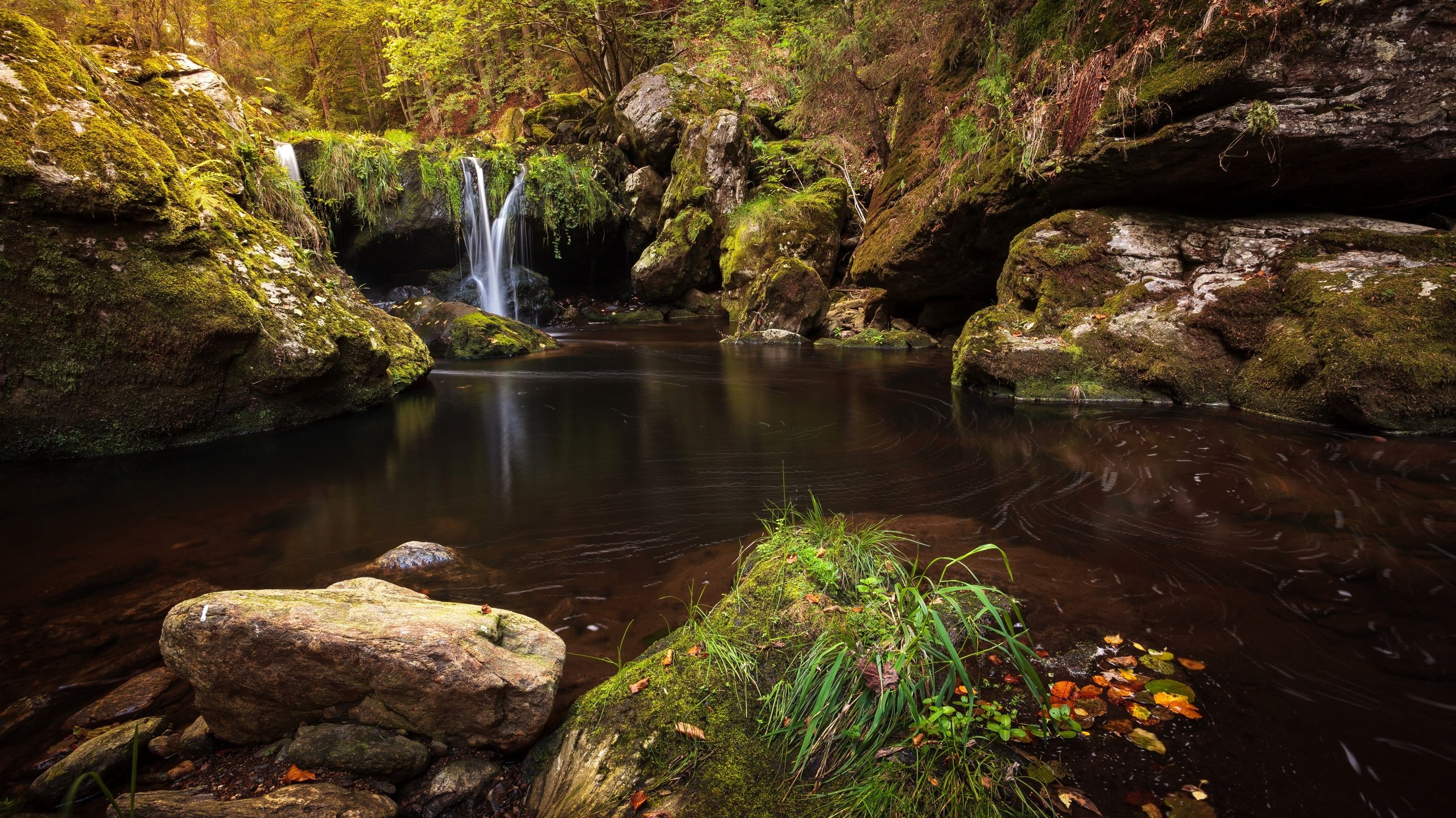 Обои деревья, камни, лес, ручей, водопад, мох, trees, stones, forest, stream, waterfall, moss разрешение 2880x1920 Загрузить