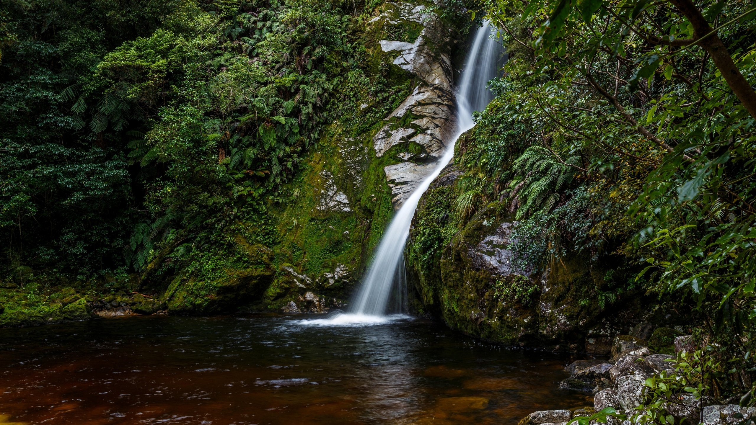 Обои камни, лес, ручей, кусты, водопад, мох, новая зеландия, hokitika, stones, forest, stream, the bushes, waterfall, moss, new zealand разрешение 2880x2046 Загрузить