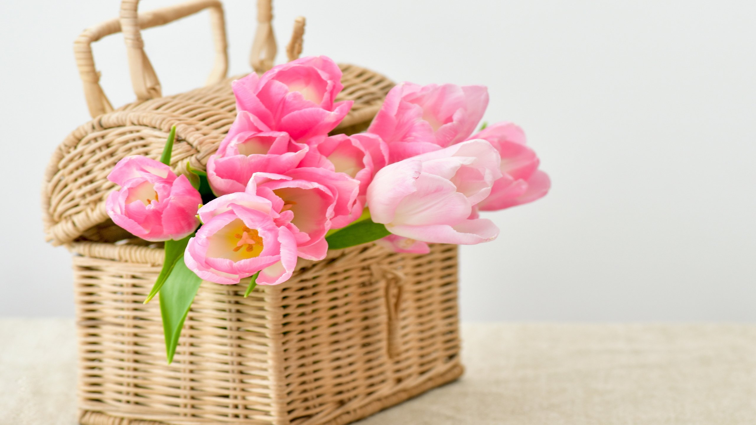 Обои цветы, букет, корзина, тюльпаны, тульпаны,  цветы, pink-tulips-flowers-bouquet.jpg pink, flowers, bouquet, basket, tulips разрешение 4585x3057 Загрузить