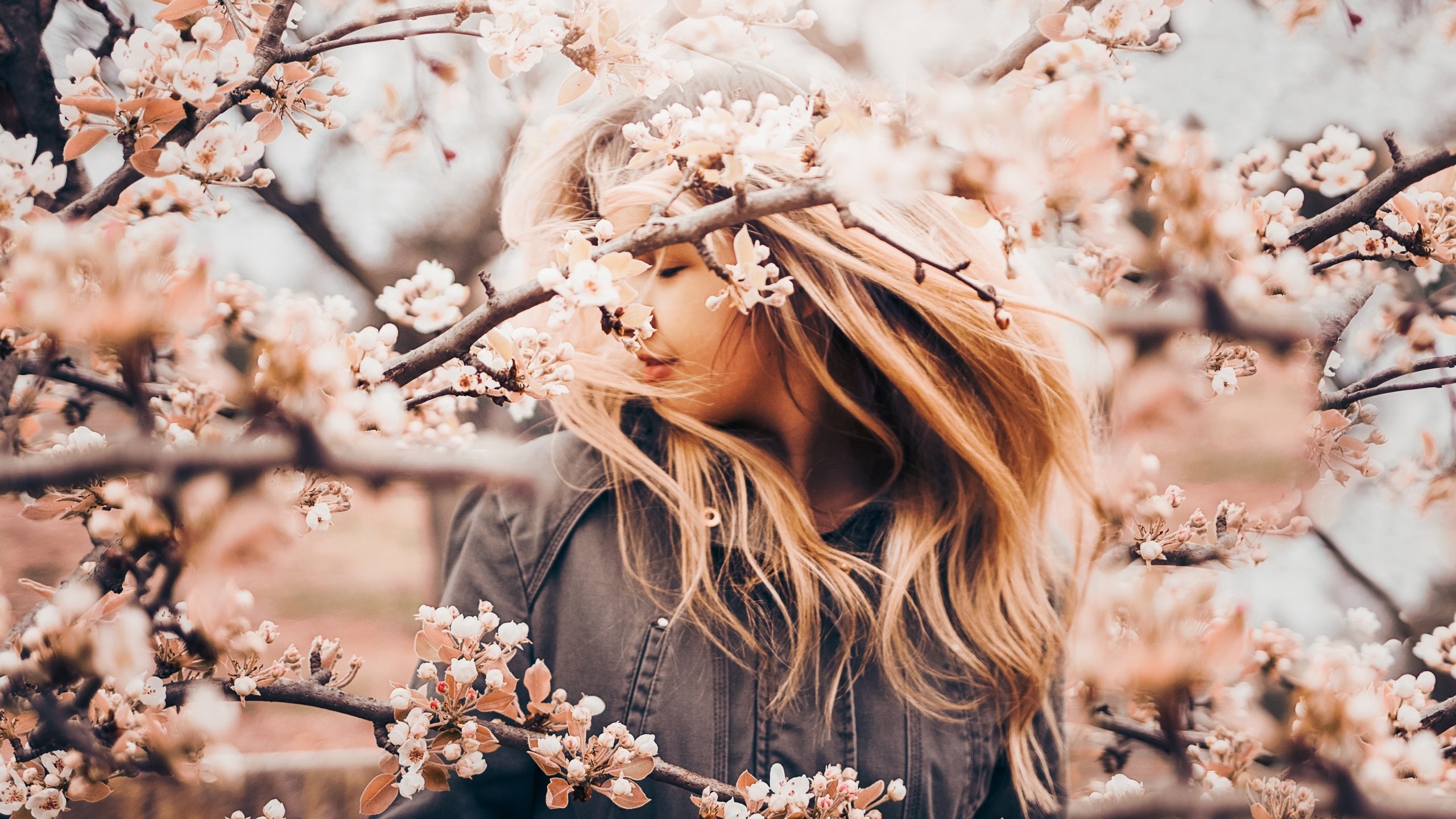 Обои цветение, девушка, настроение, ветки, весна, яблоня, flowering, girl, mood, branches, spring, apple разрешение 2560x1707 Загрузить