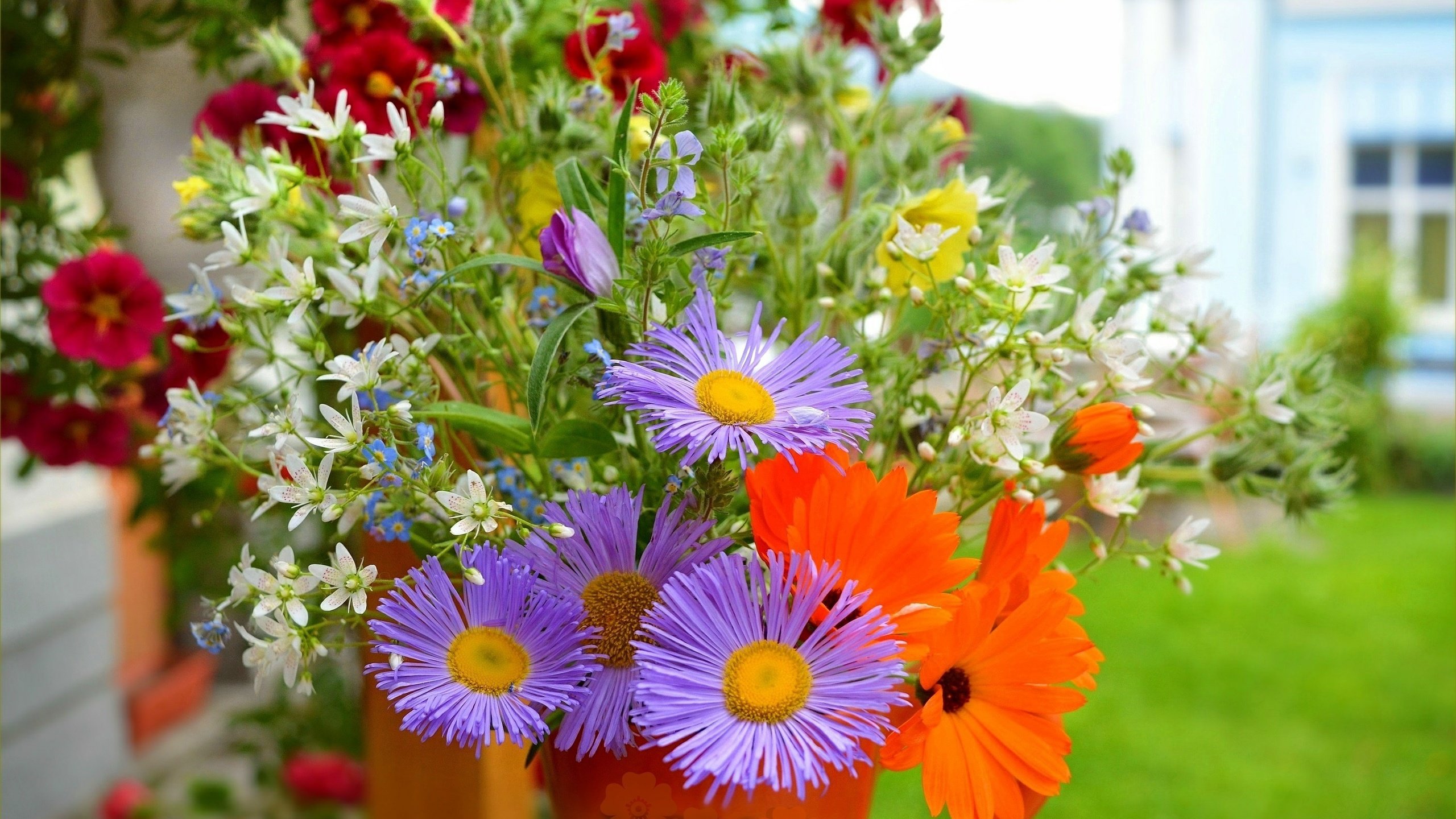 Обои цветы, букет, фиолетовые, лиловые цветы, flowers, bouquet, purple, purple flowers разрешение 3002x1871 Загрузить