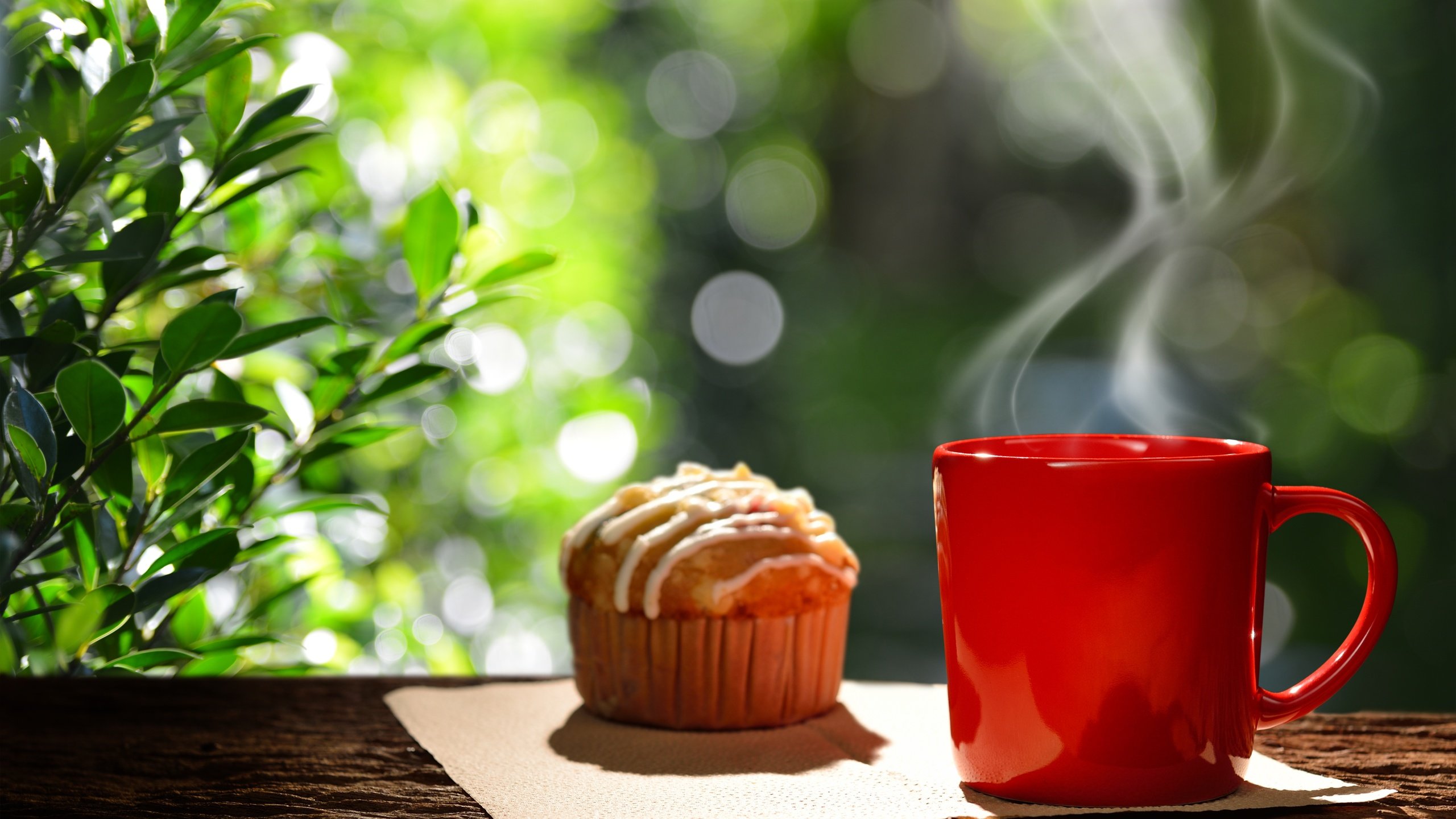 Обои кофе, чашка, завтрак, кекс, горячая, доброе утро, капкейк, coffee cup, coffee, cup, breakfast, cupcake, hot, good morning разрешение 6197x4134 Загрузить